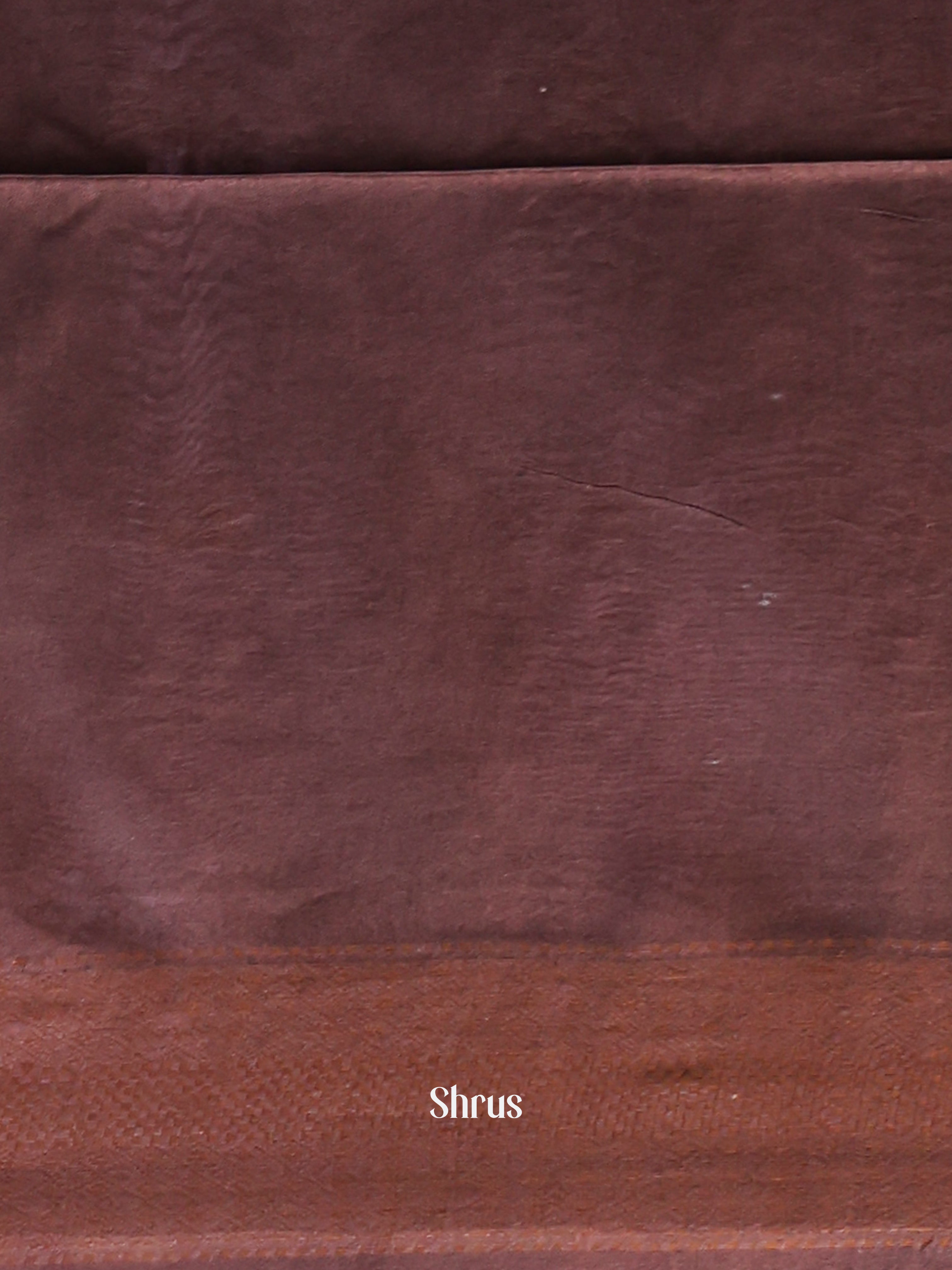 Lite Brown & Brown- Semi Tussar Saree - Shop on Shrus.com