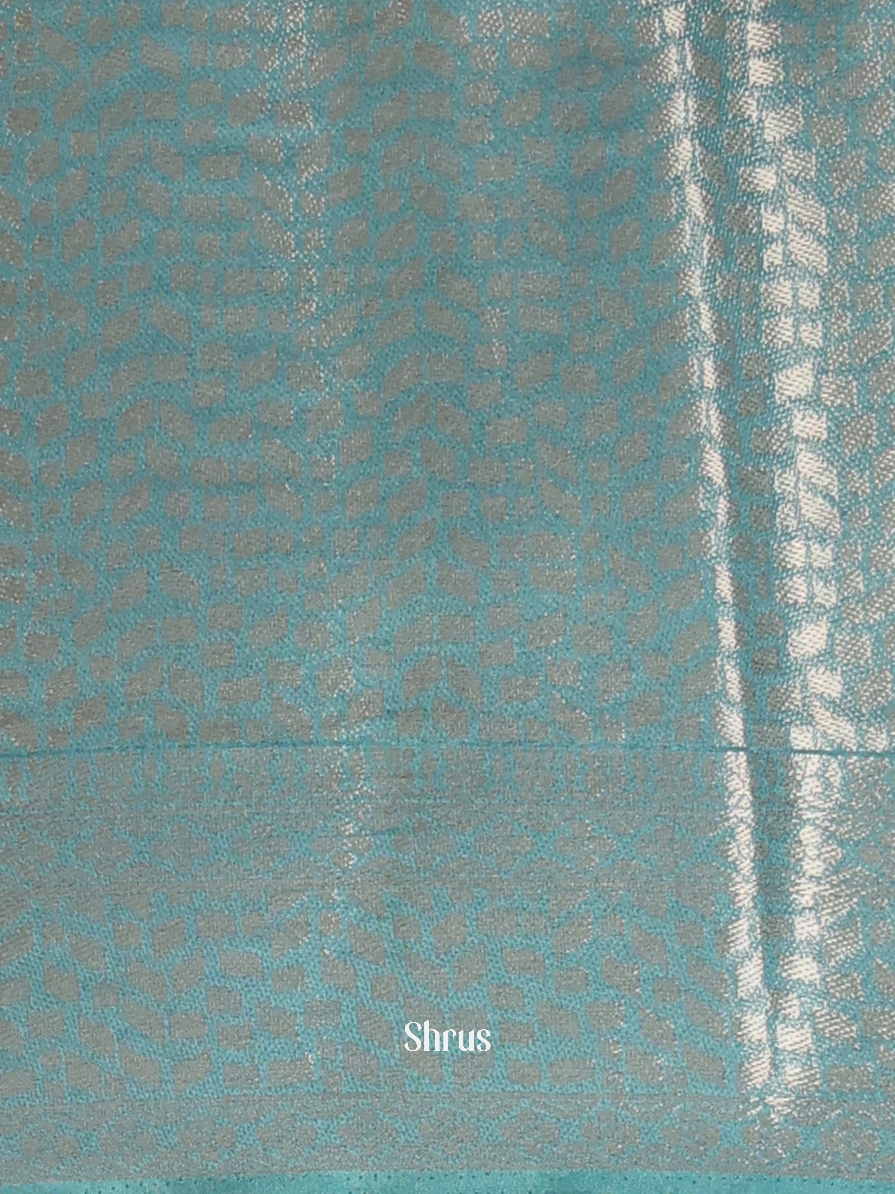 Lite Blue & Blue - Printed chanderi Saree-1