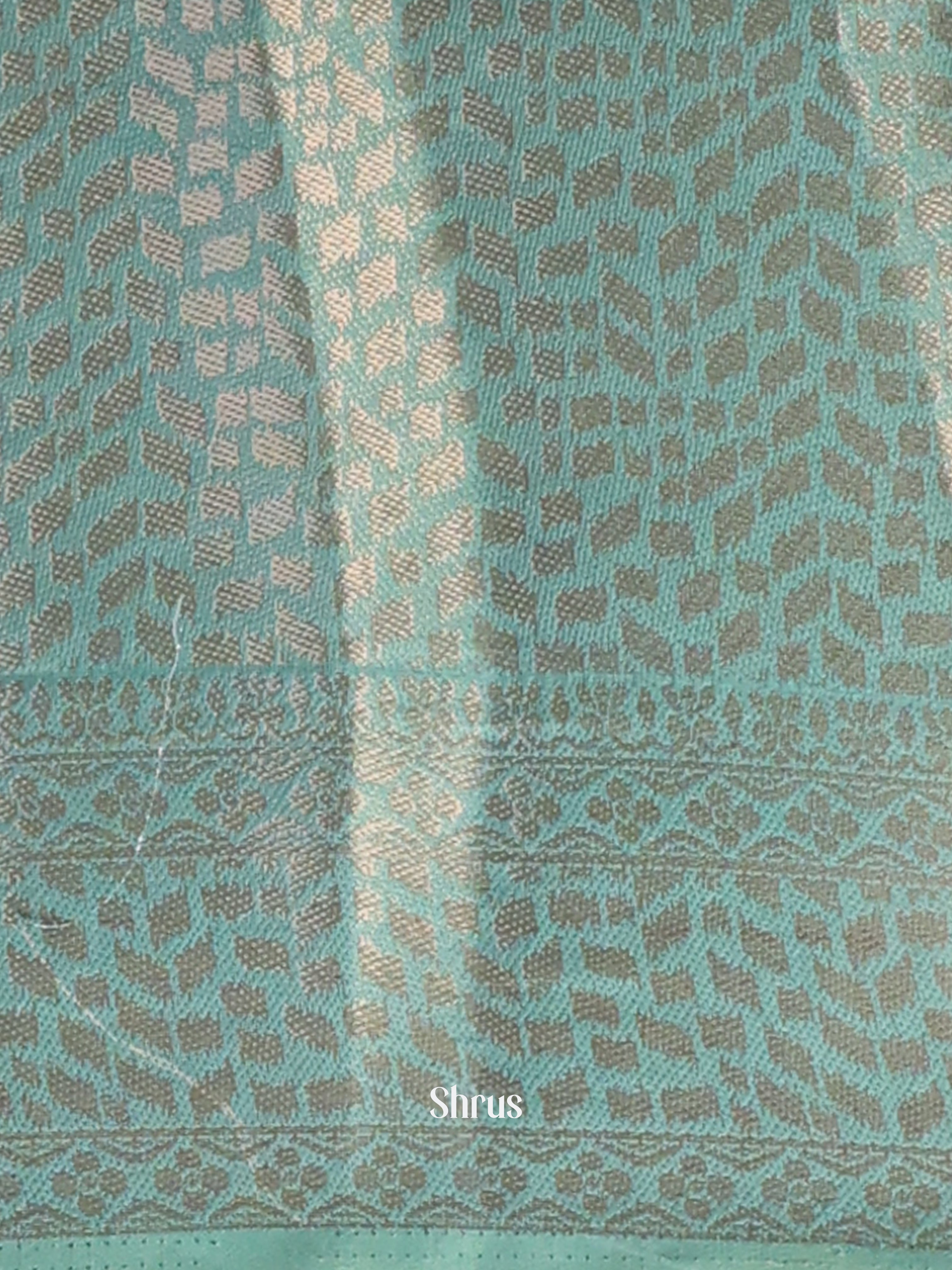 Lite Blue - Printed chanderi Saree-1