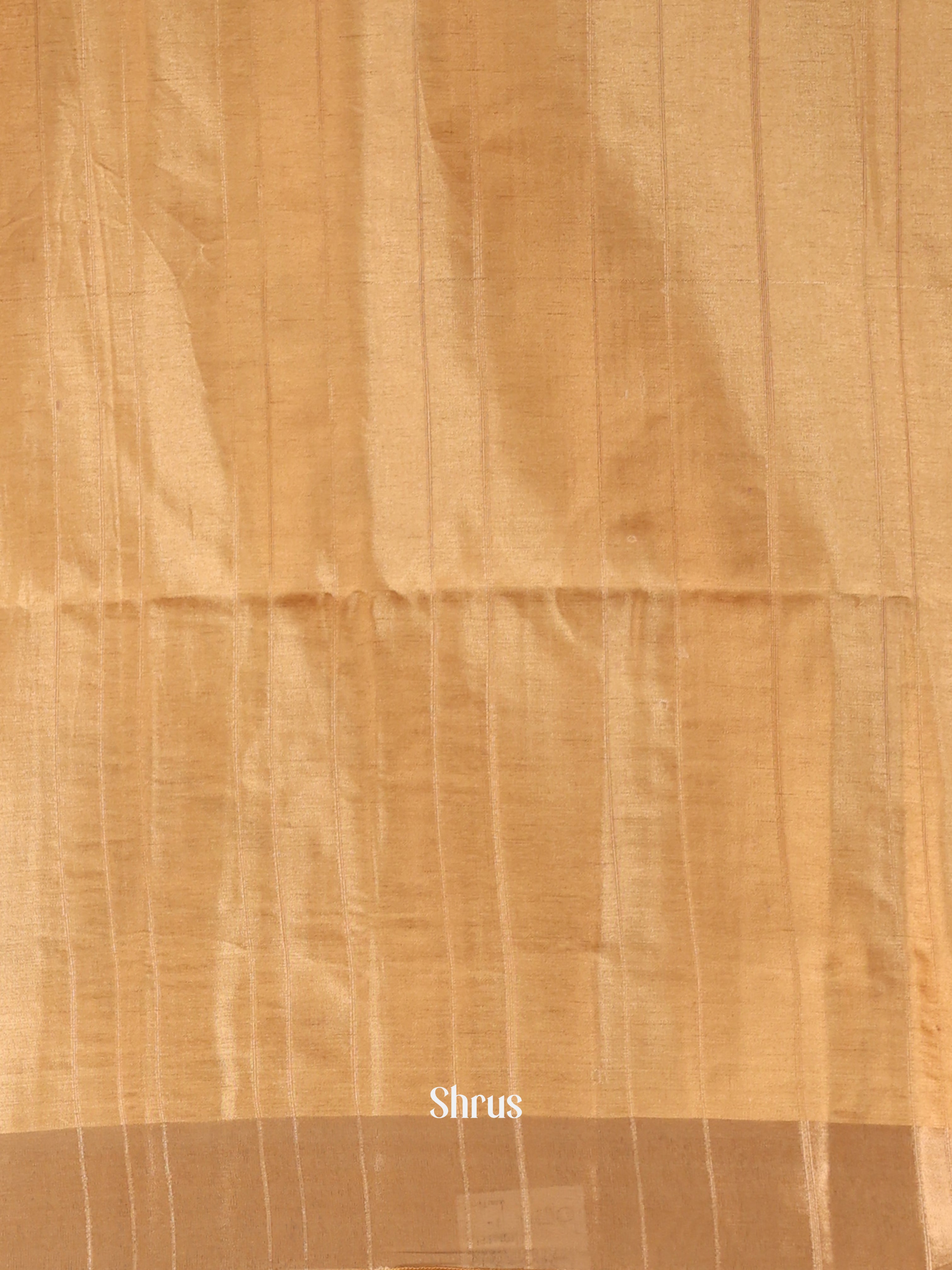 Beige - Semi Tussar Saree - Shop on Shrus.com