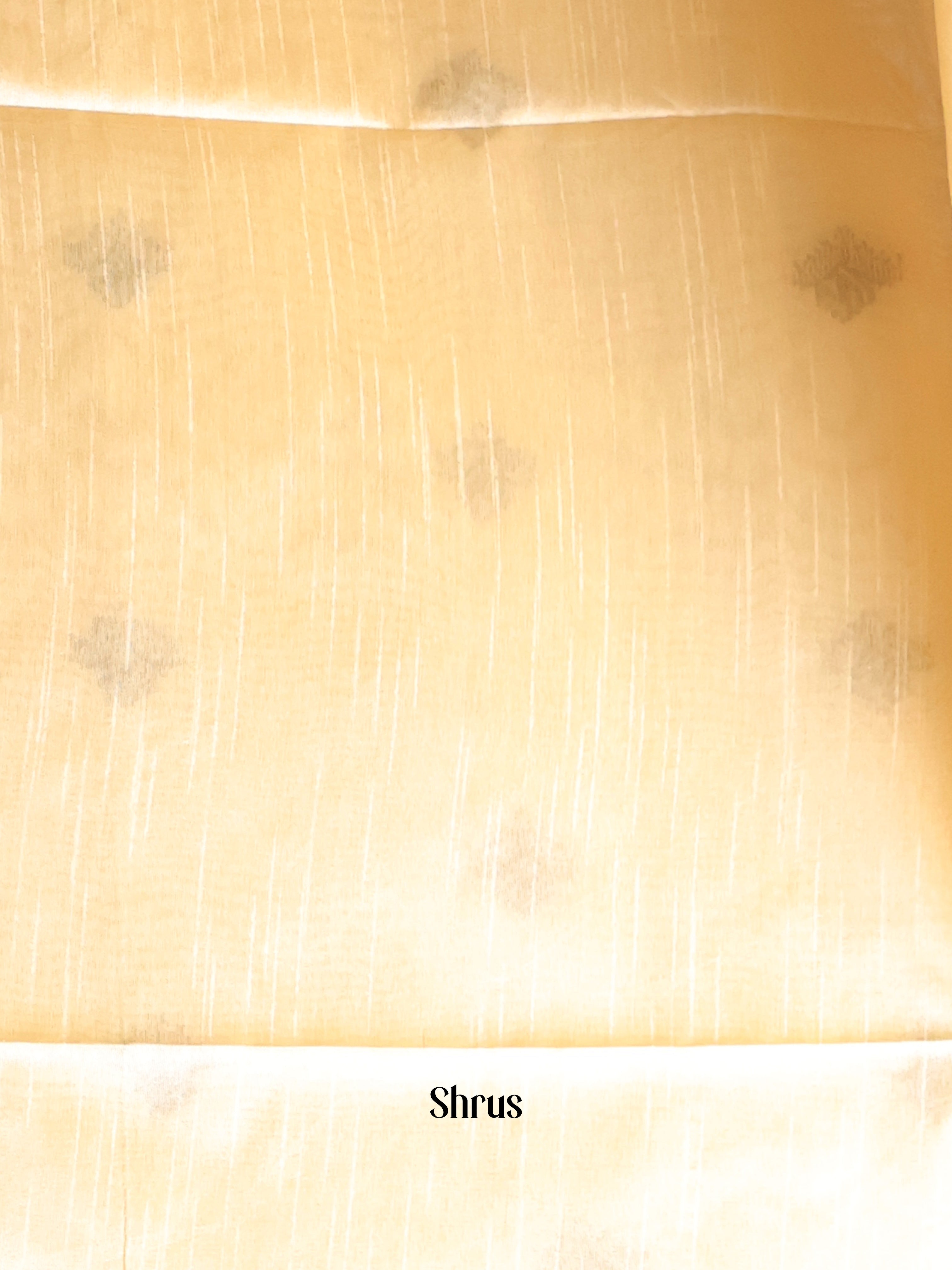 Cream - Champa semitussar Saree - Shop on Shrus.com