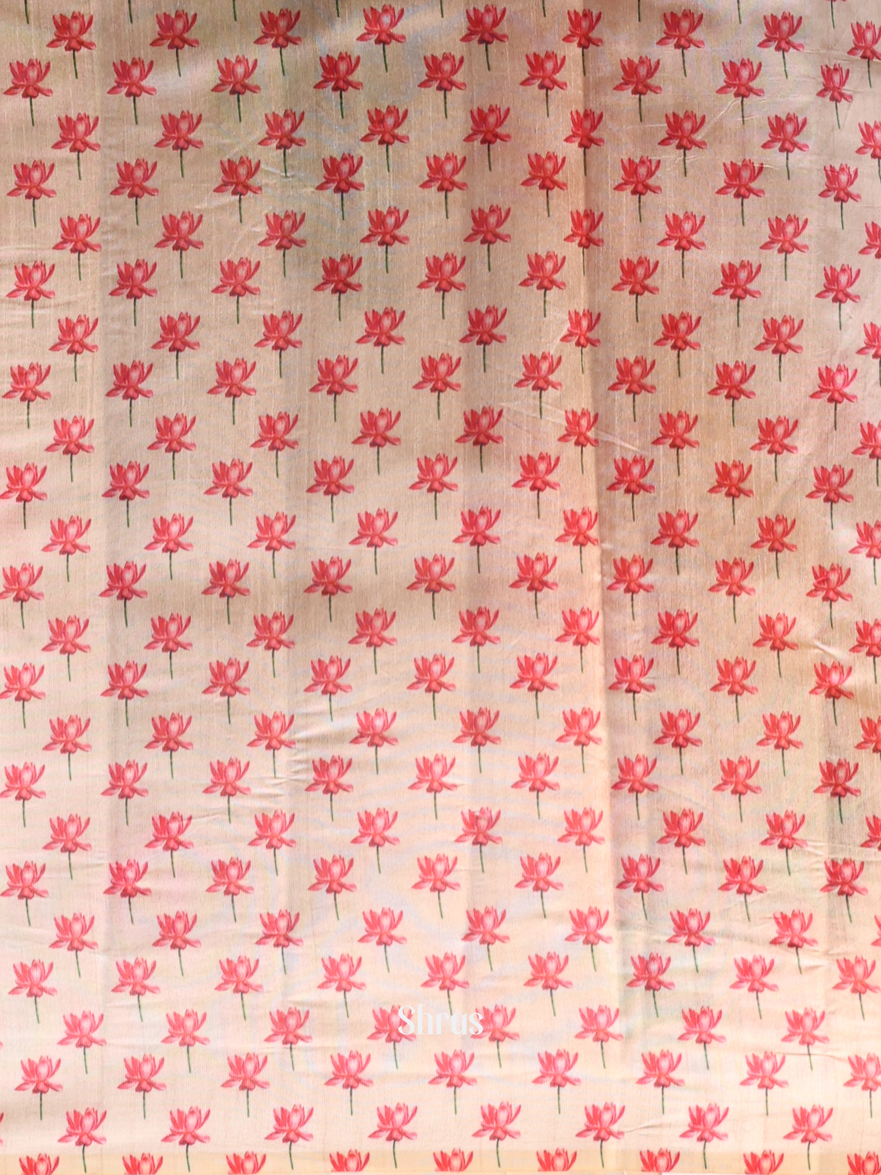 Cream - Semi Tussar Saree - Shop on Shrus.com