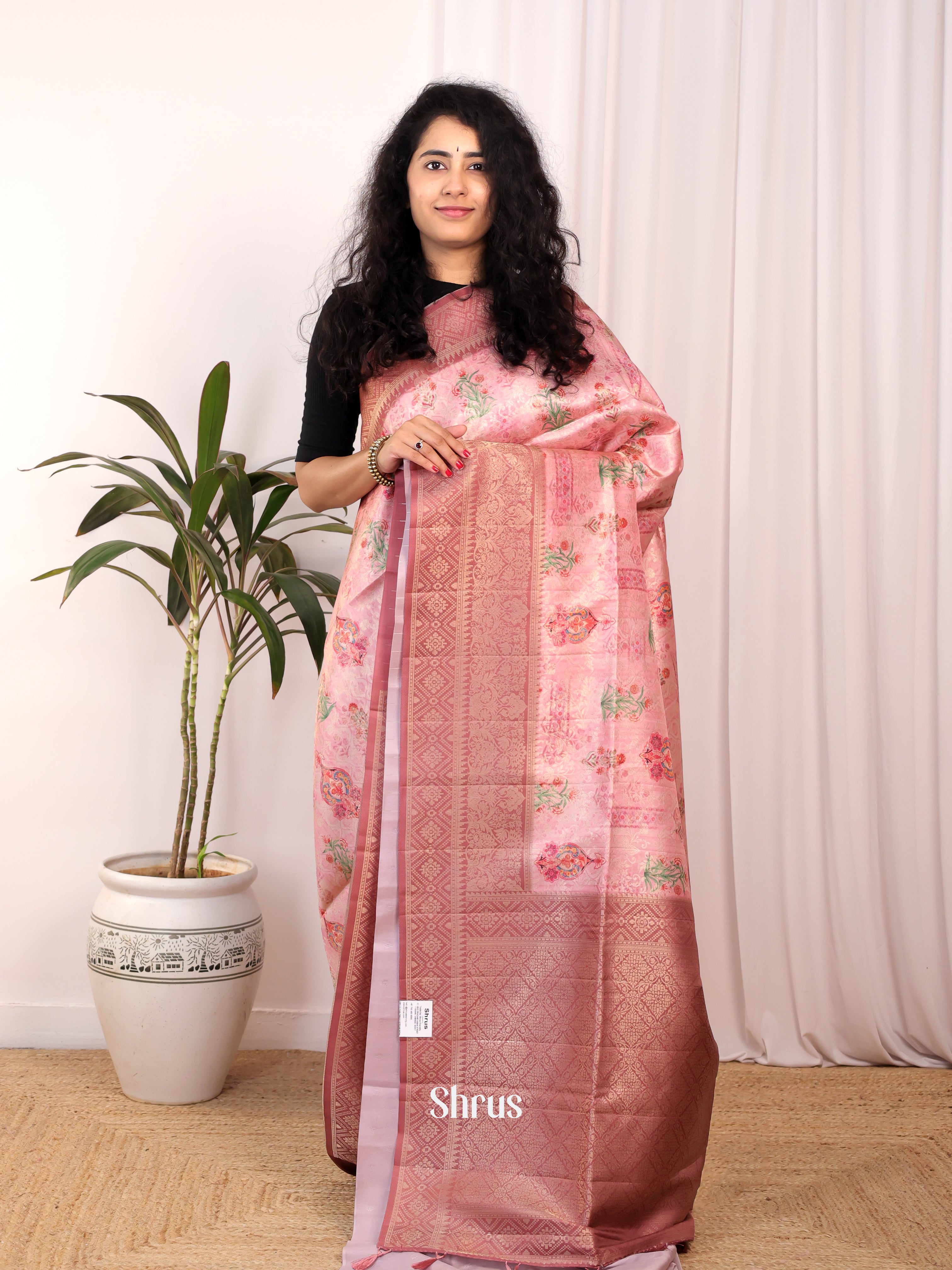 Pink & Onion Peel - Semi Georgette Saree - Shop on Shrus.com