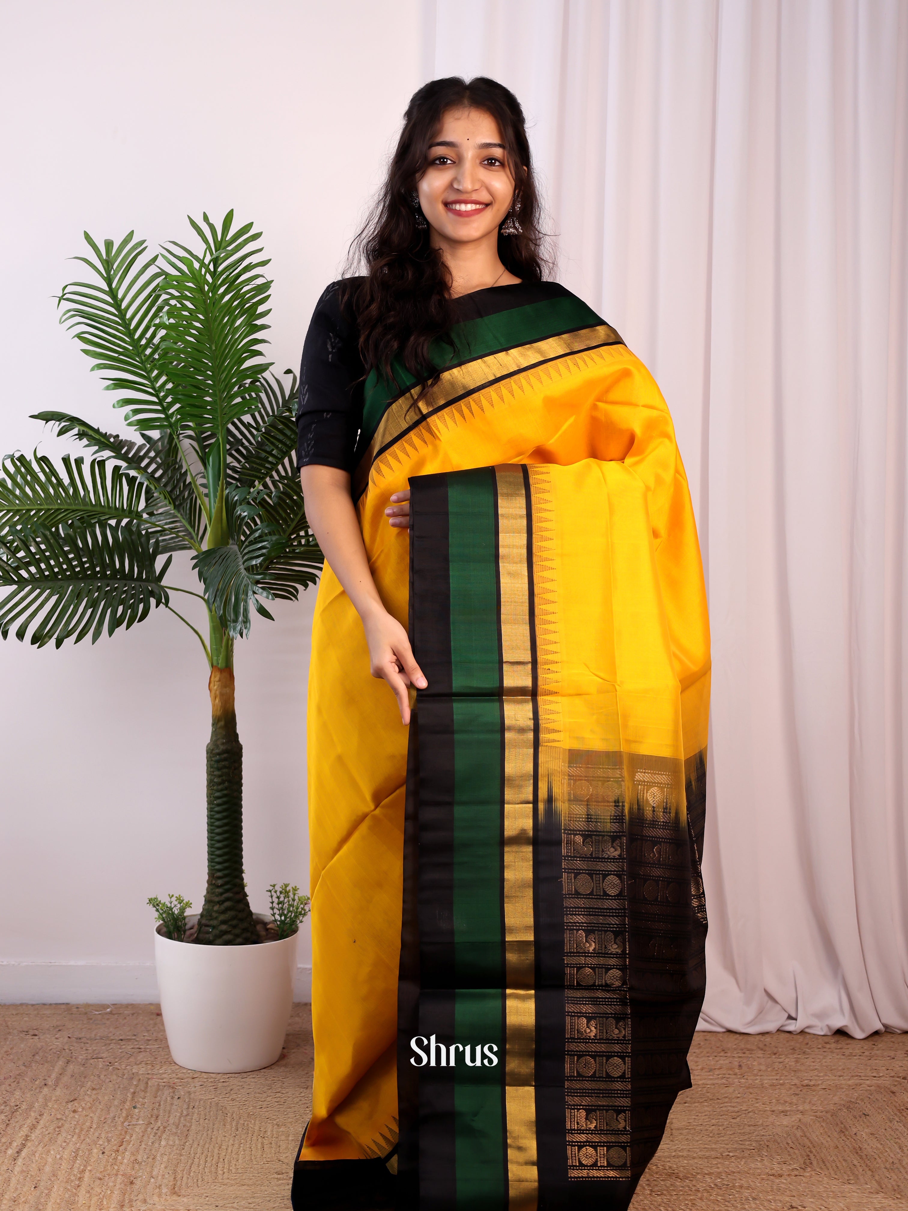 CJS29032 - Silk Cotton Saree - Shop on Shrus.com