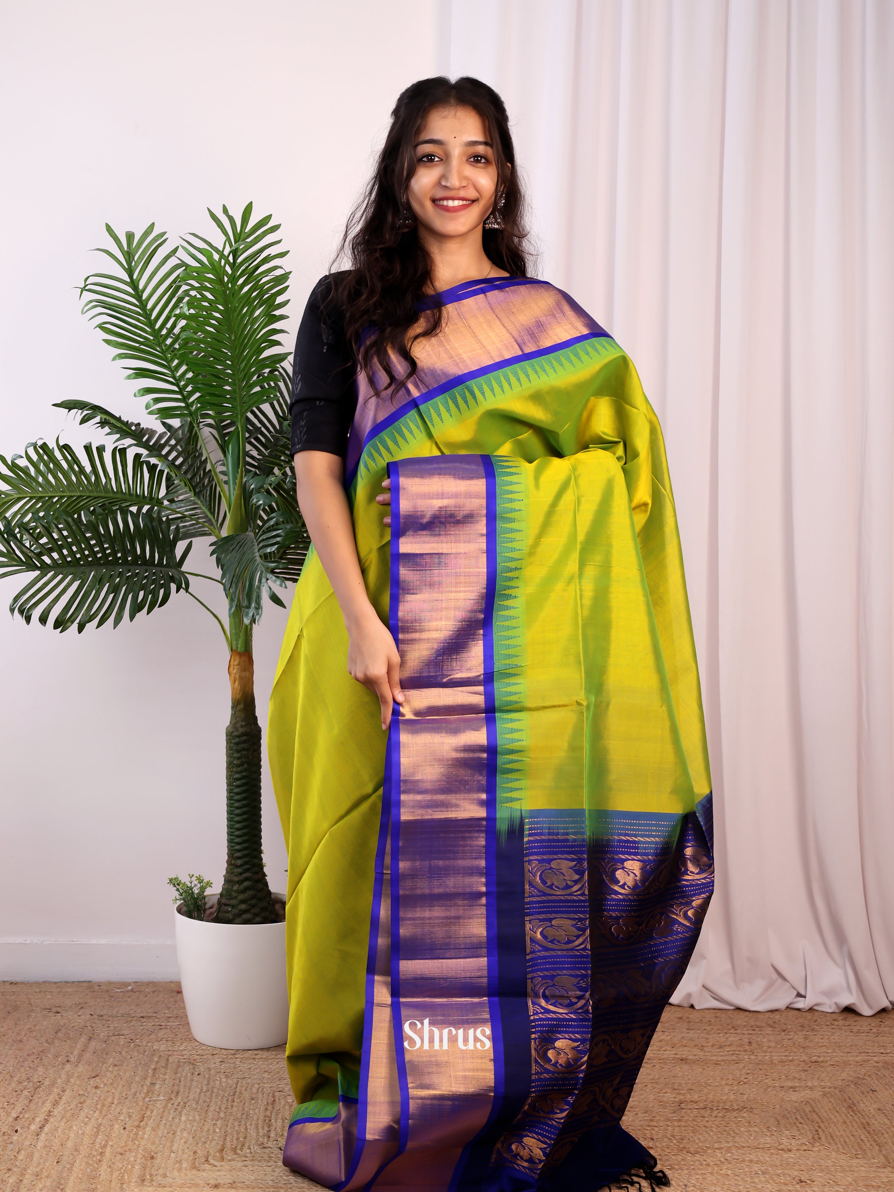 Green & Blue - Silk Cotton Saree - Shop on Shrus.com