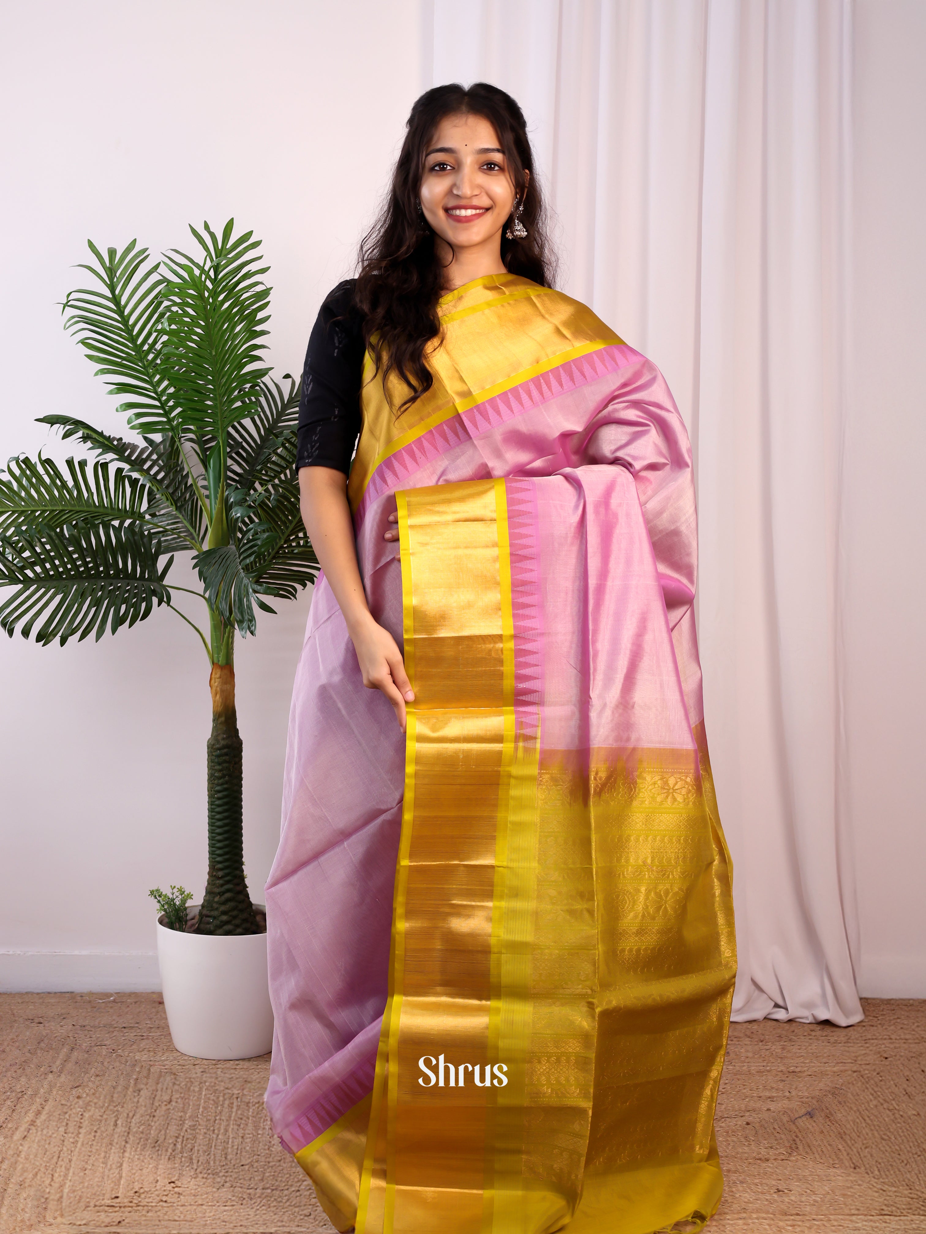 Purple & Green- Silk Cotton Saree - Shop on Shrus.com