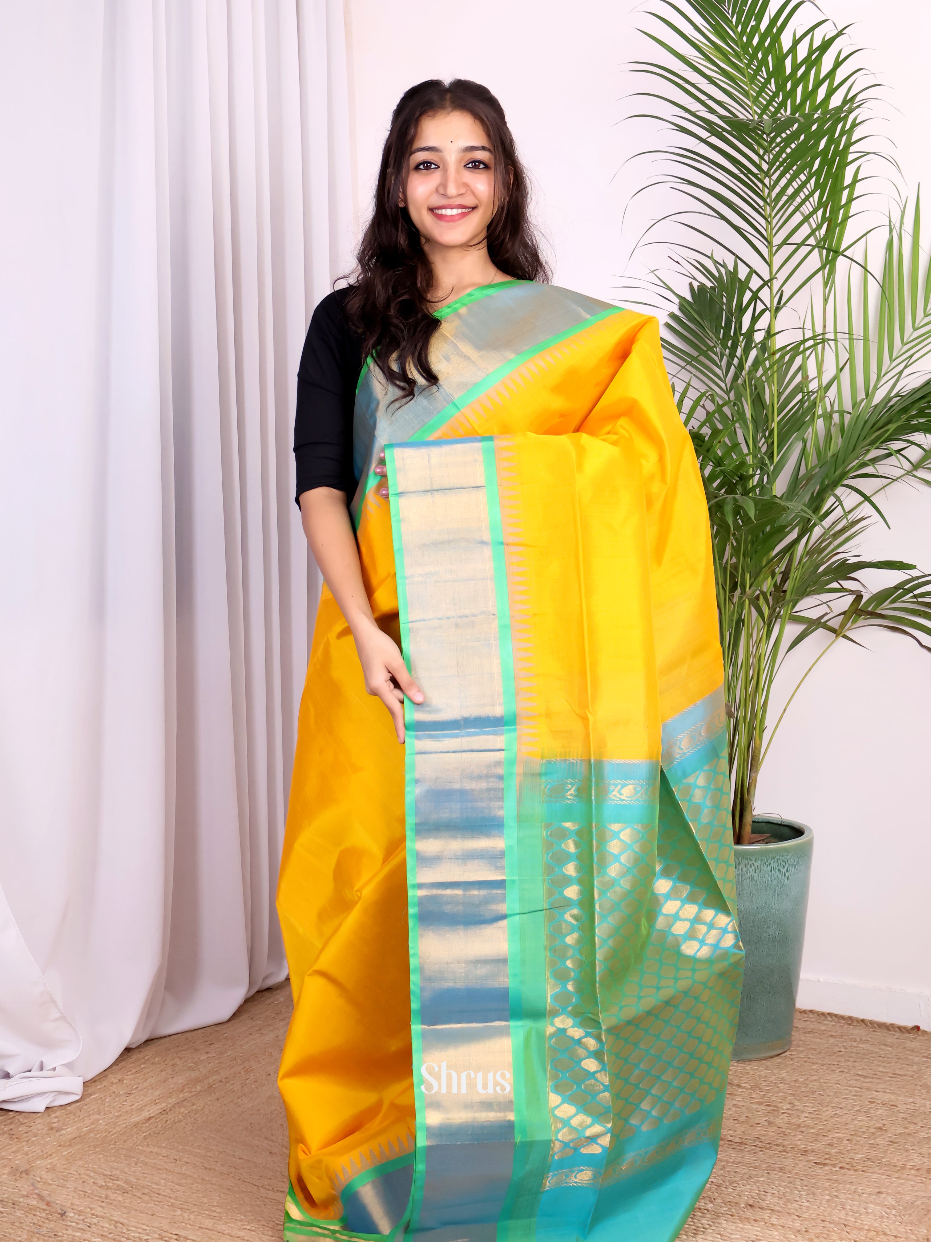 Yellow & Teal Green - Silk Cotton Saree - Shop on Shrus.com