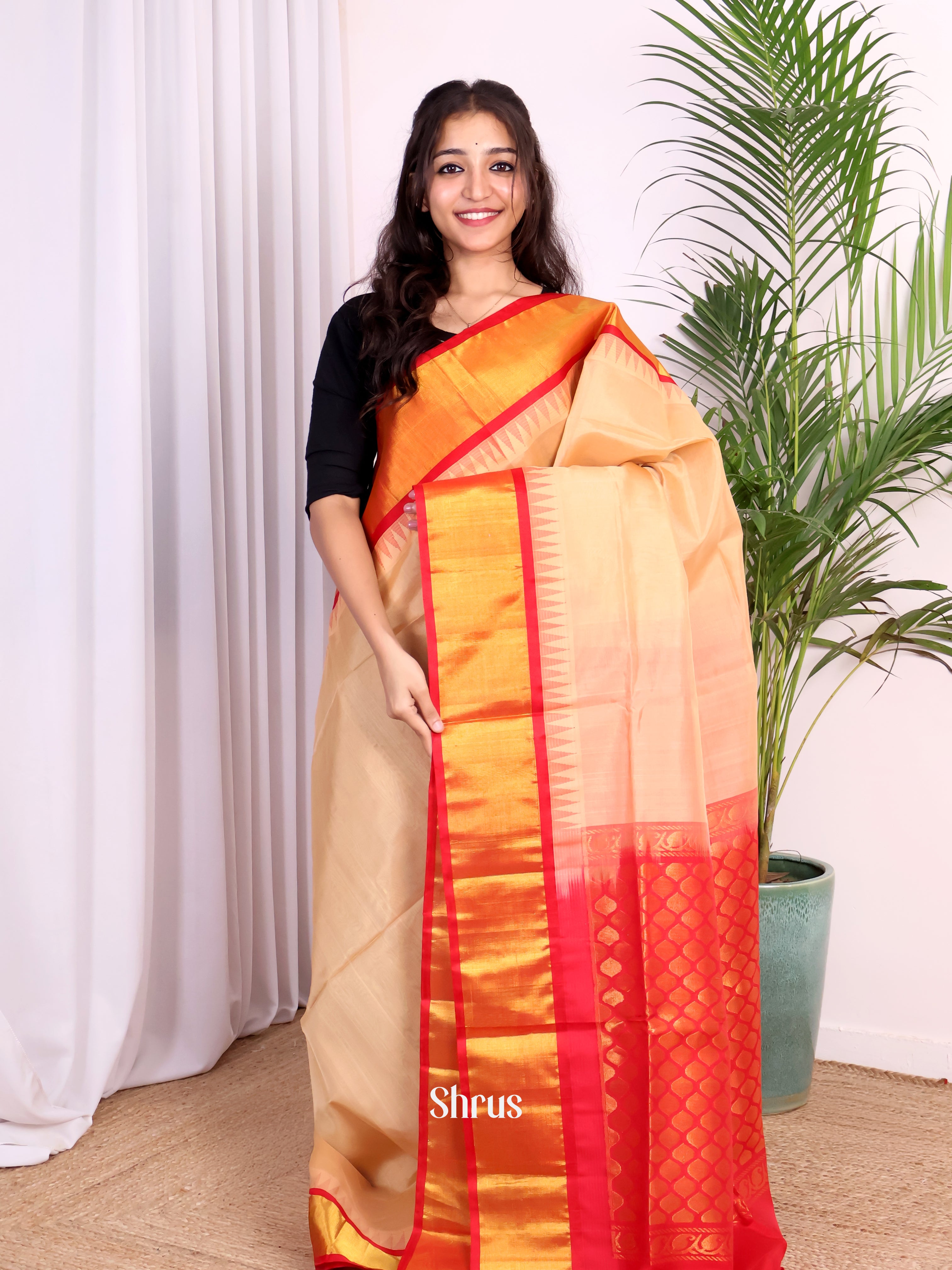 CJS29043 - Silk Cotton Saree - Shop on Shrus.com