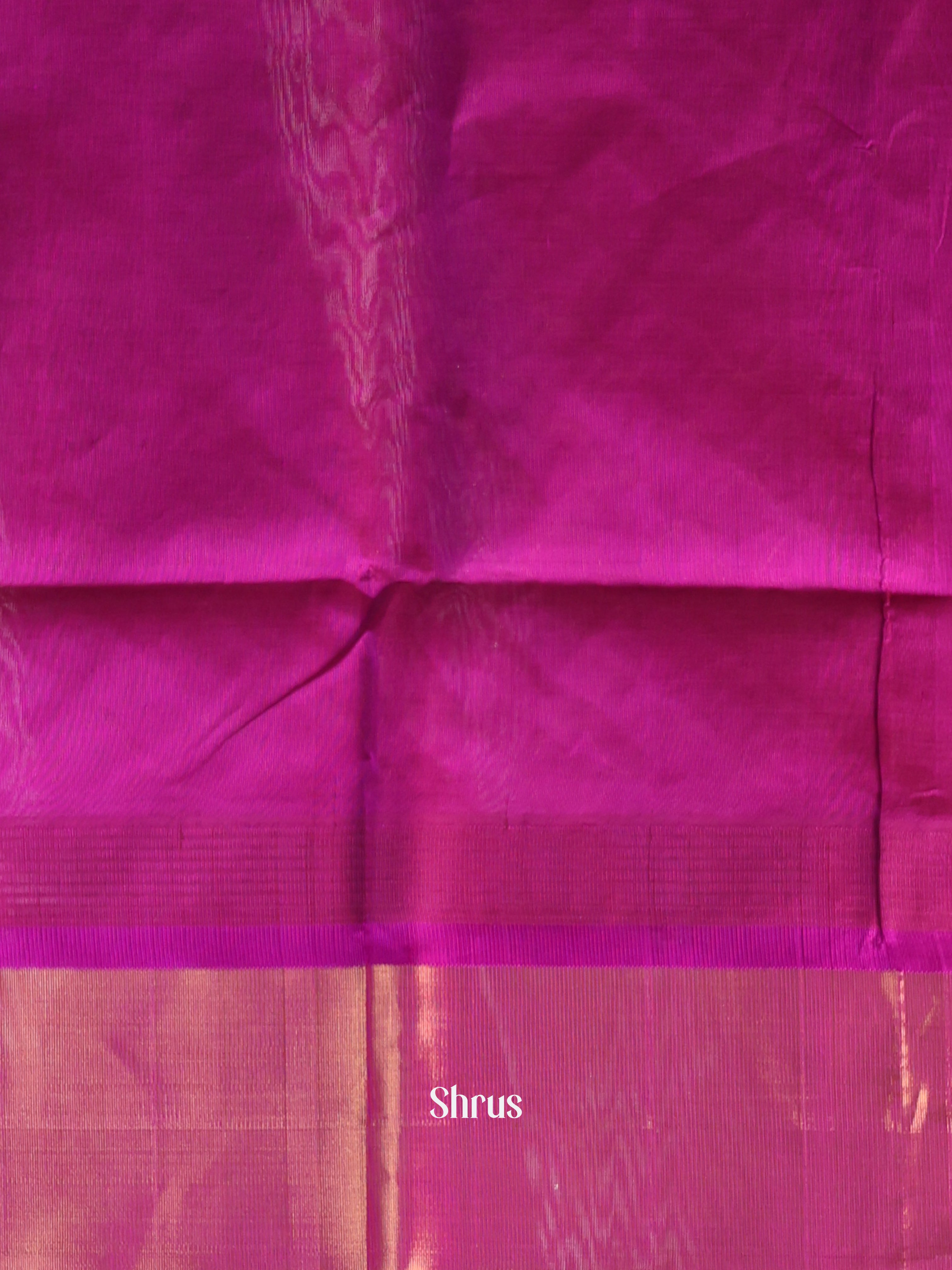 Green & Purple- Silk Cotton Saree - Shop on Shrus.com