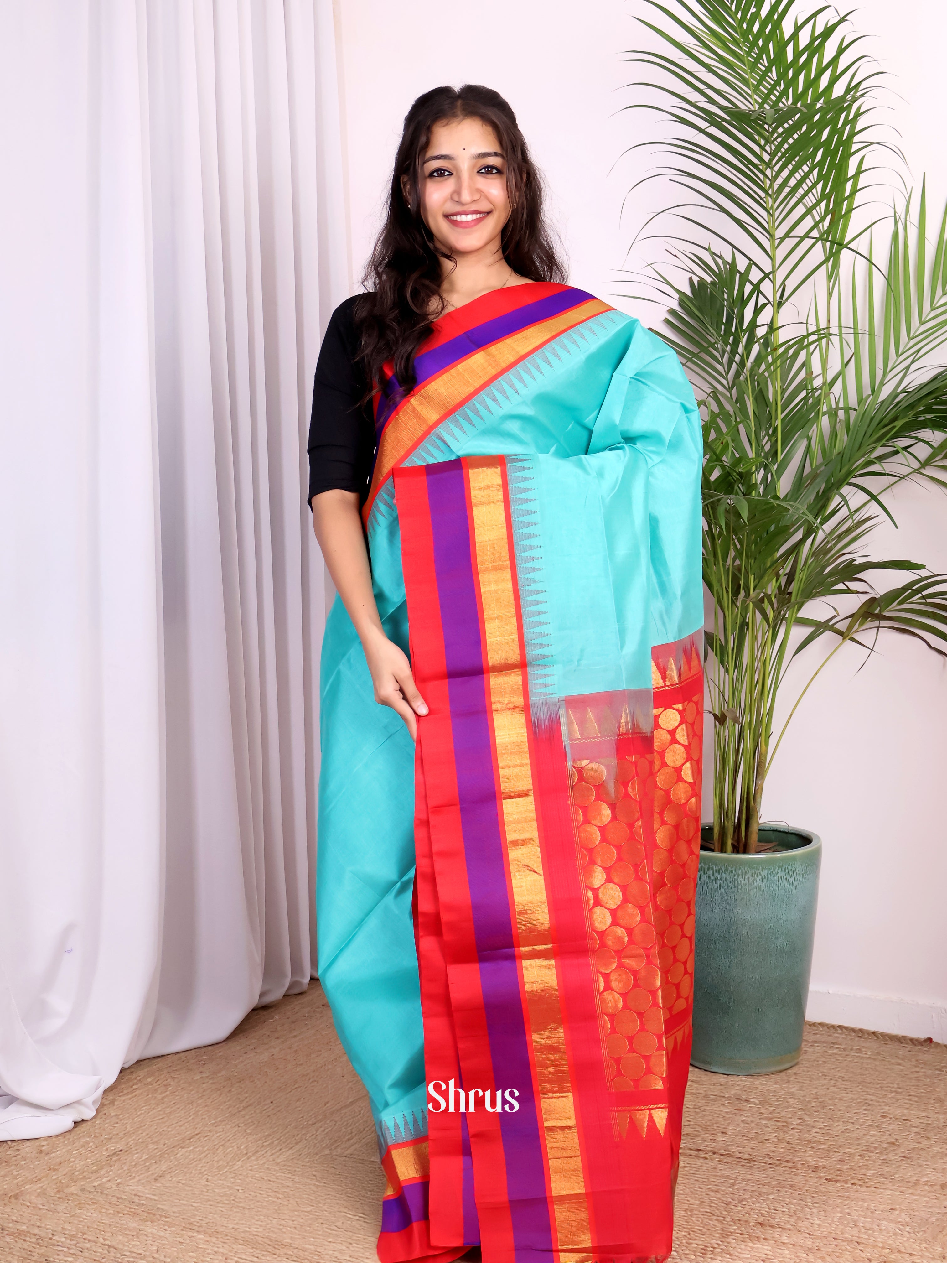 Teal & Red - Silk Cotton Saree - Shop on Shrus.com