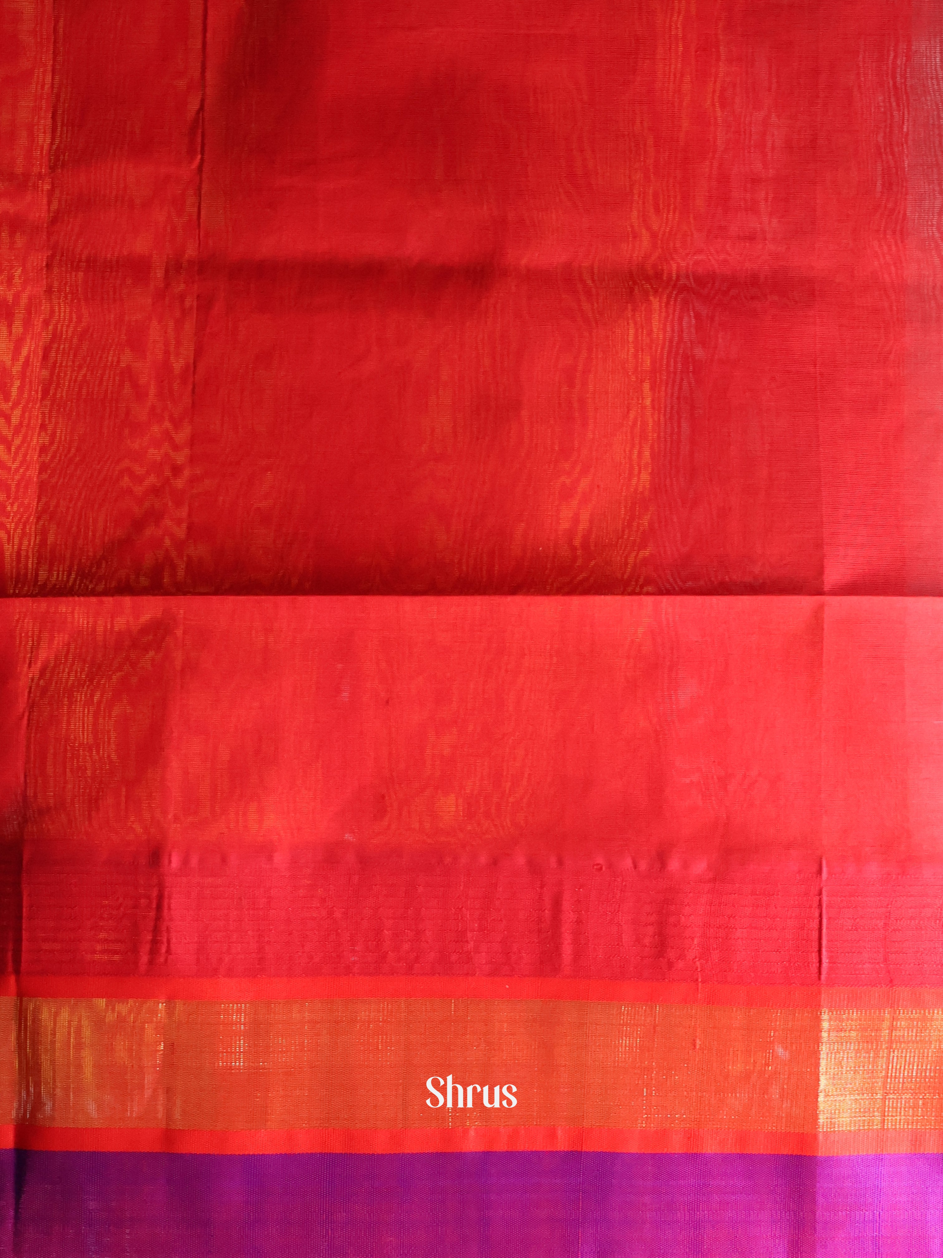 Teal & Red - Silk Cotton Saree - Shop on Shrus.com