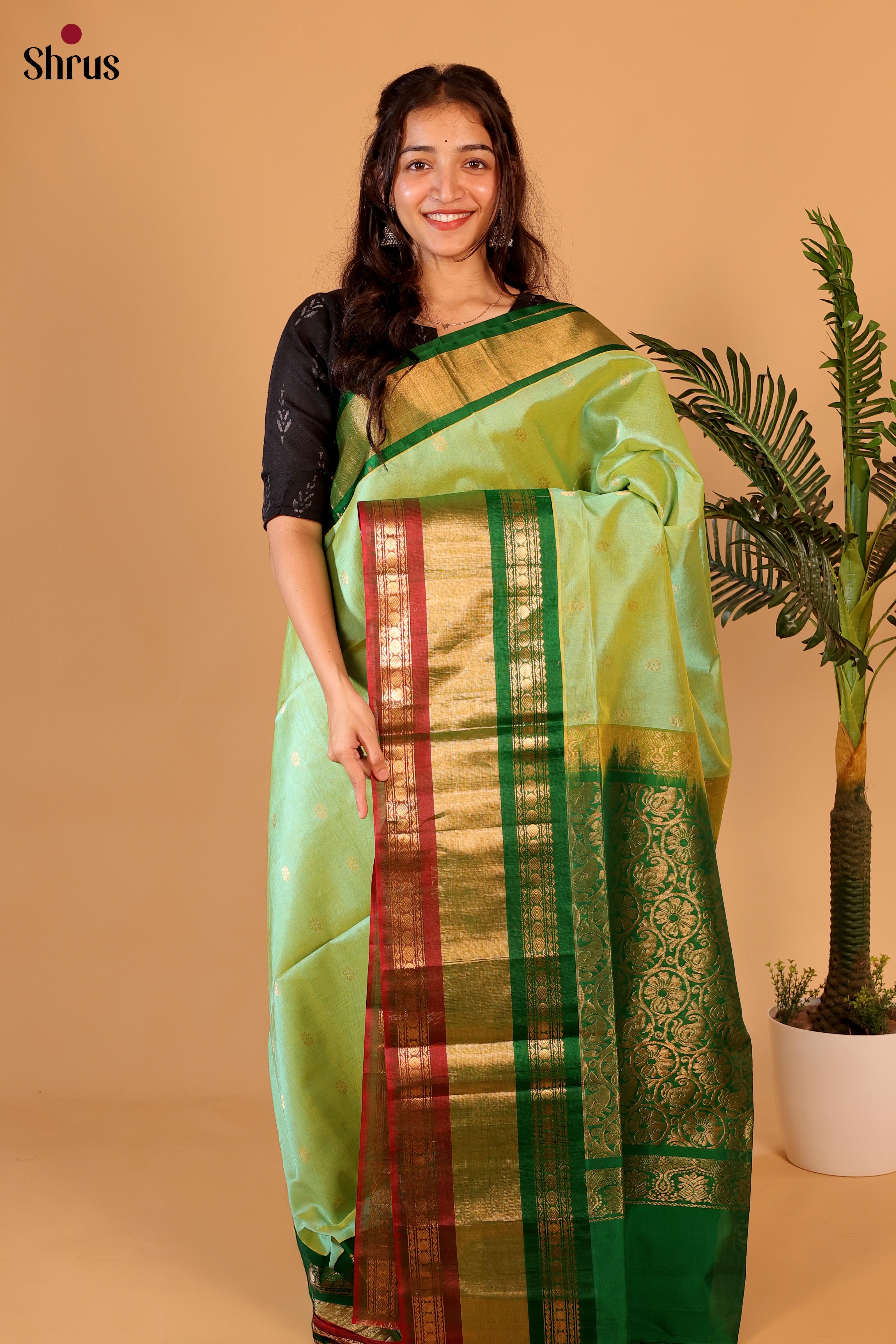 Pista Green & Green- Silk Cotton Saree - Shop on Shrus.com