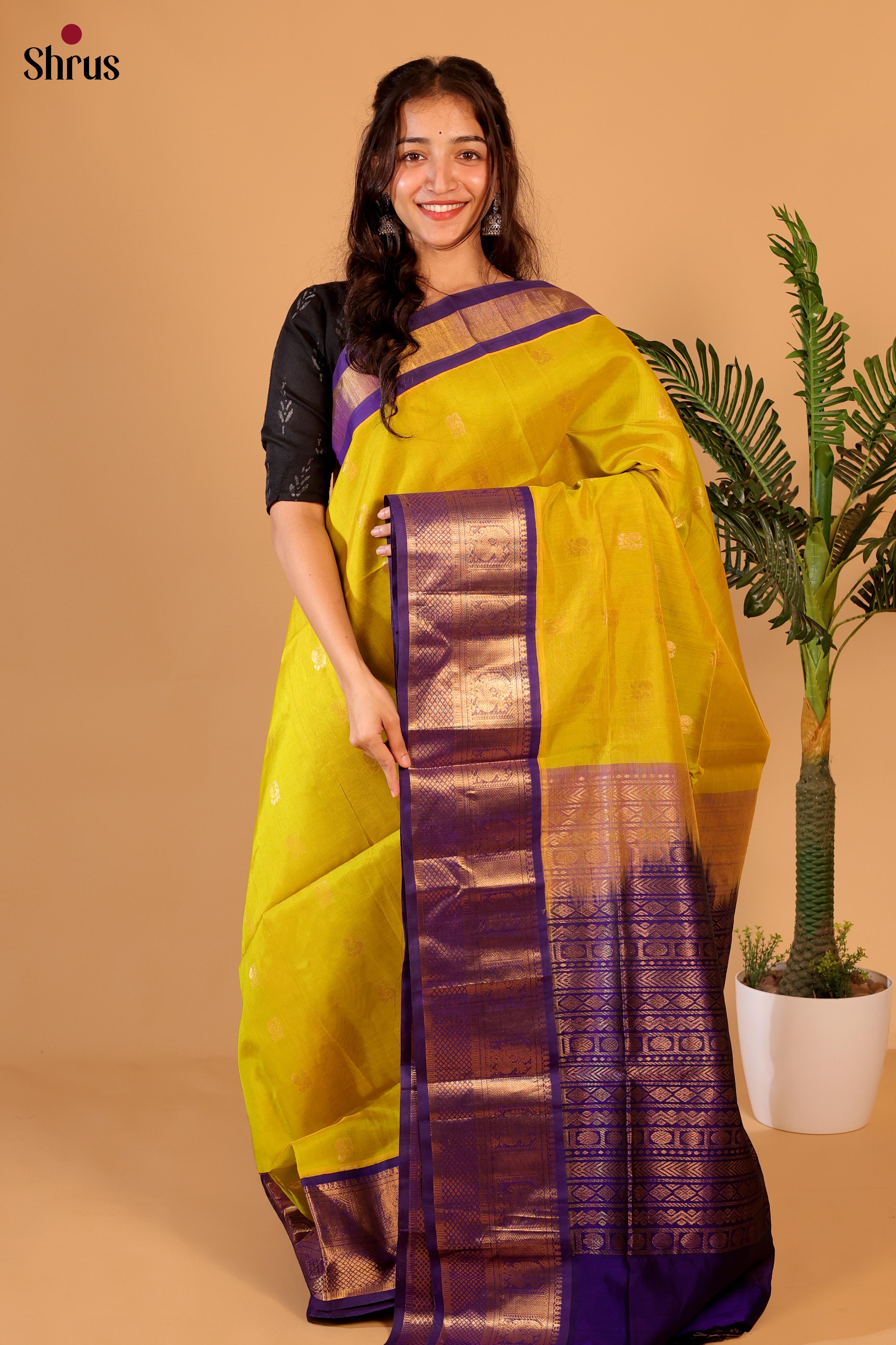 Mustardy Green & Violet- Silk Cotton Saree - Shop on Shrus.com