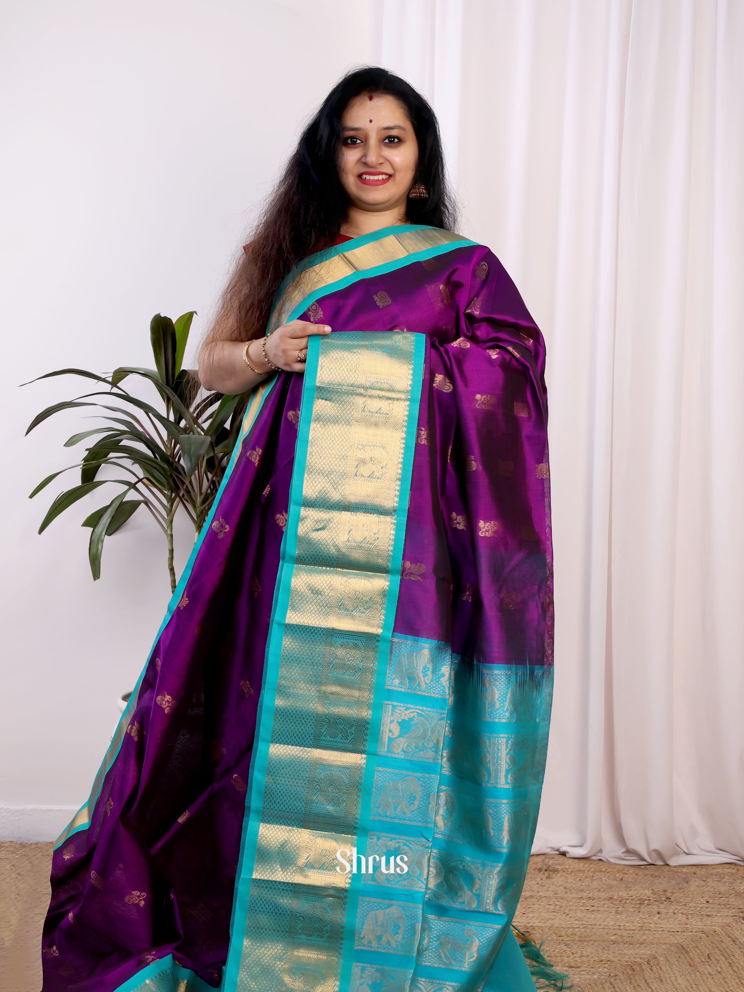 Violet & Blue - Silk Cotton Saree - Shop on Shrus.com