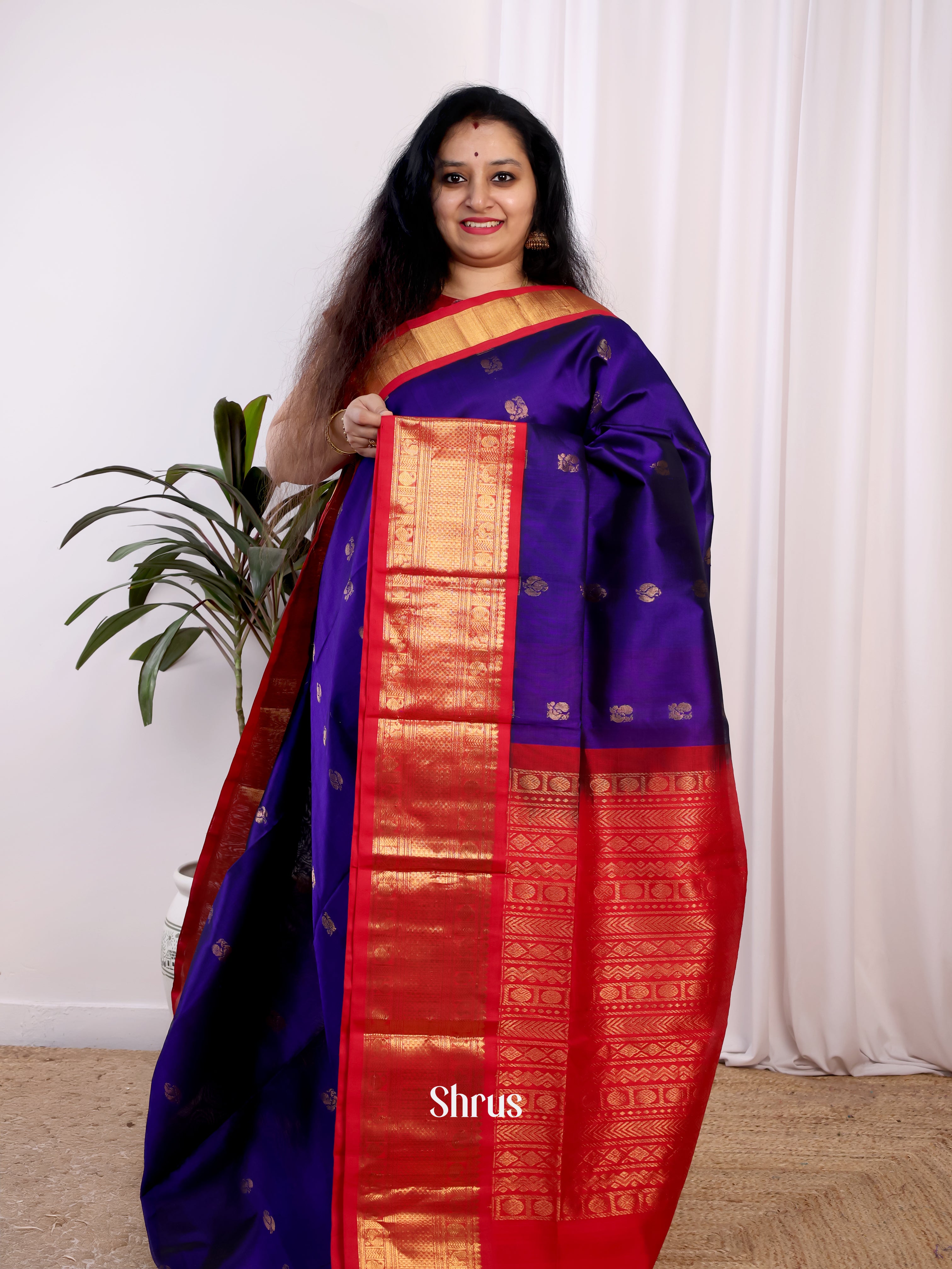 Blue & Red - Silk Cotton Saree - Shop on Shrus.com