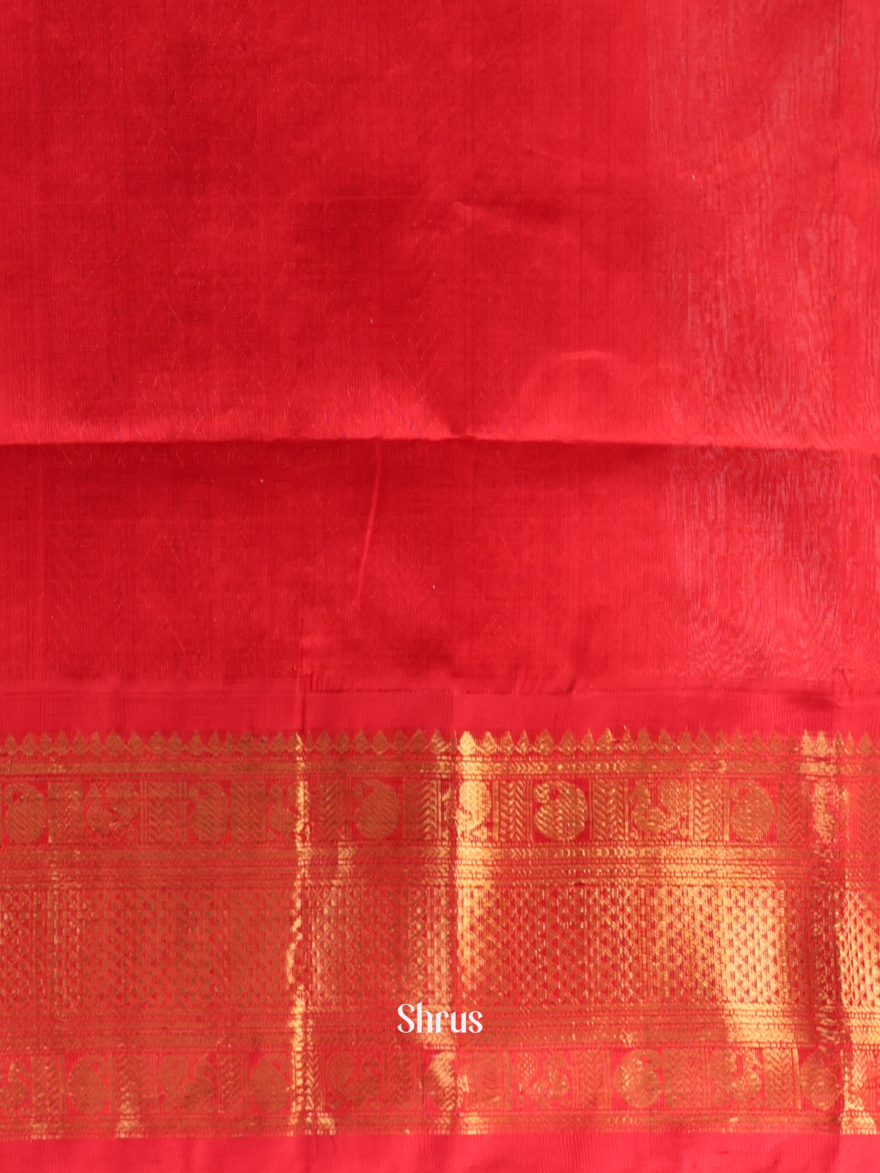Blue & Red - Silk Cotton Saree - Shop on Shrus.com