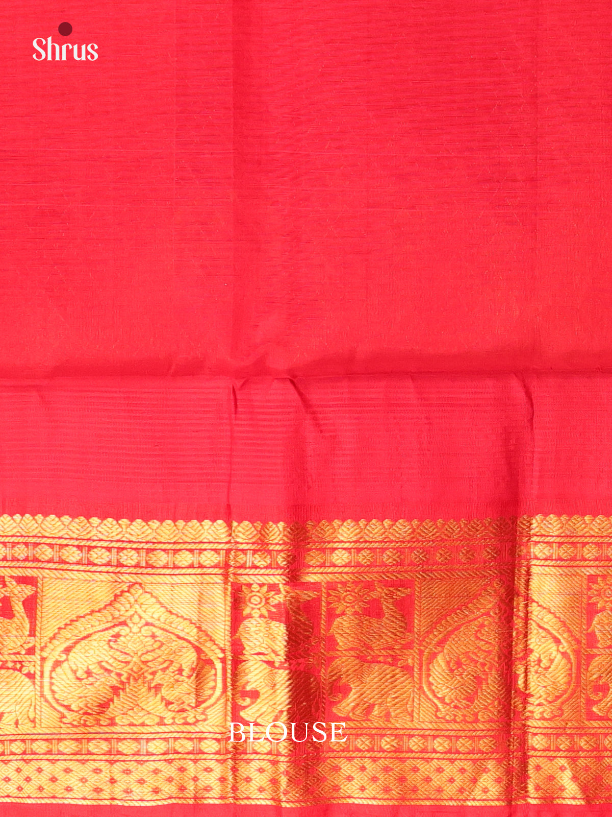 Pink & Red - Silk Cotton Saree - Shop on Shrus.com
