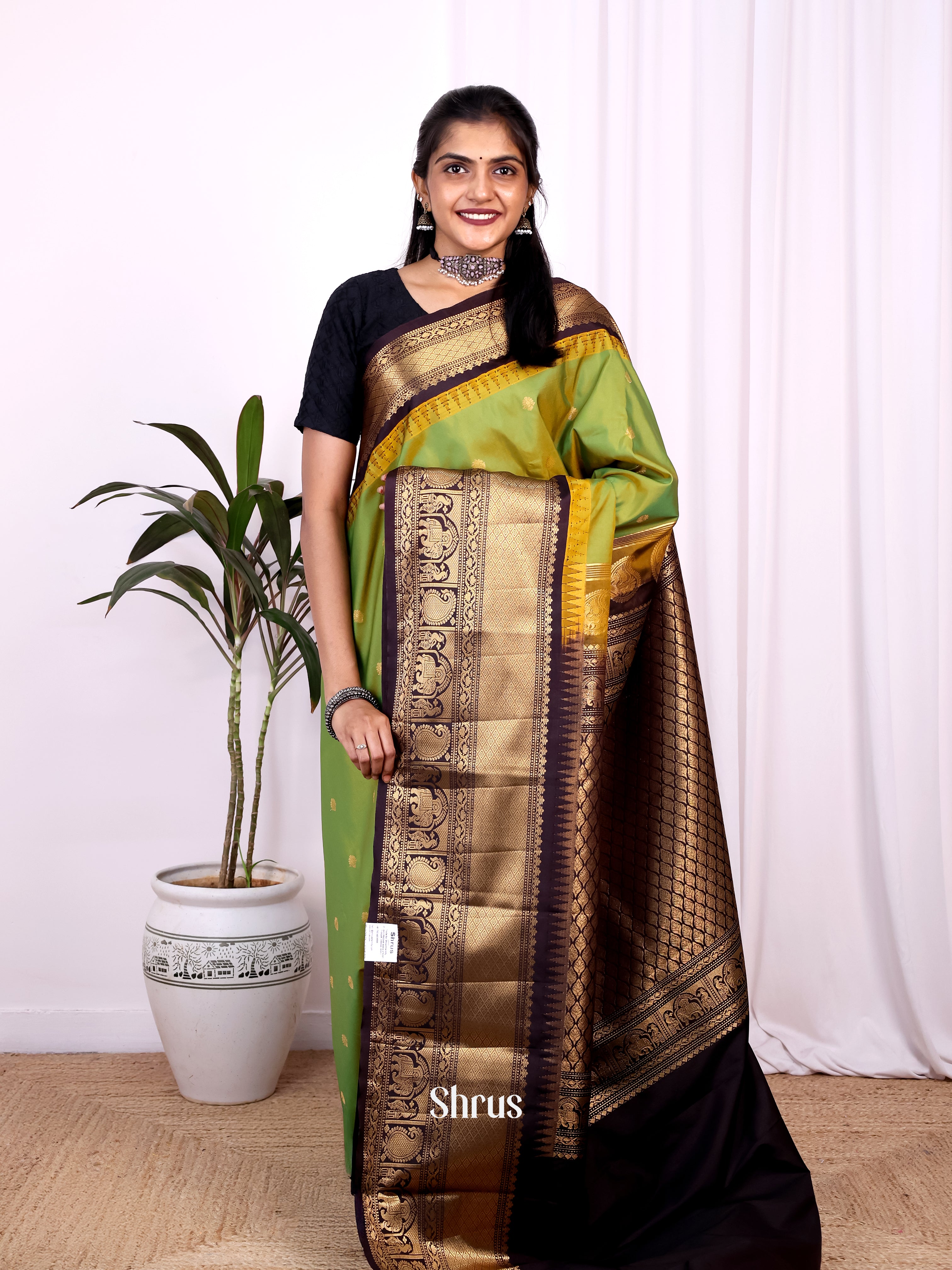 Green & Brown - Gadwal halfpure Saree - Shop on Shrus.com