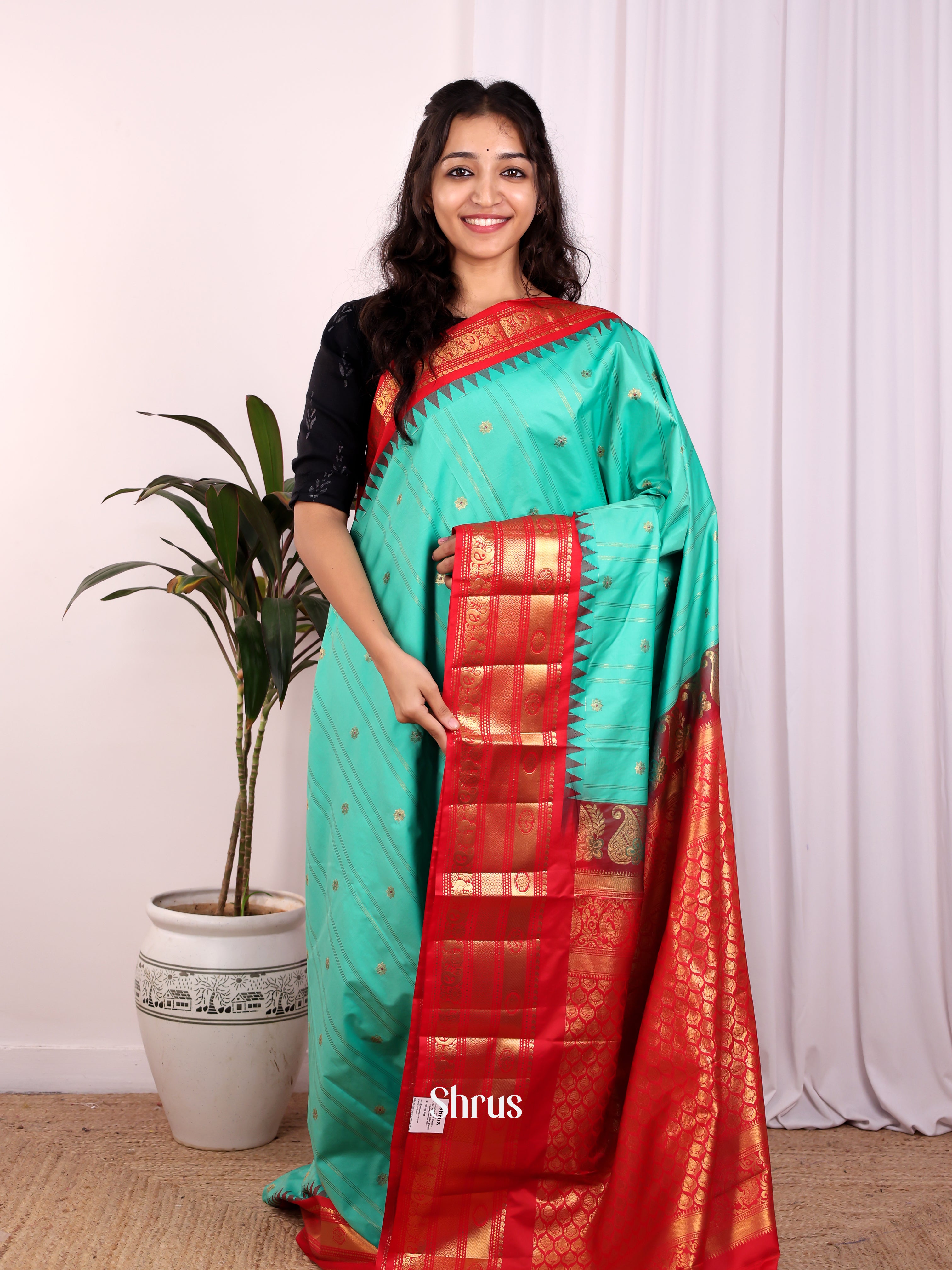 green & Red - Gadwal halfpure Saree - Shop on Shrus.com