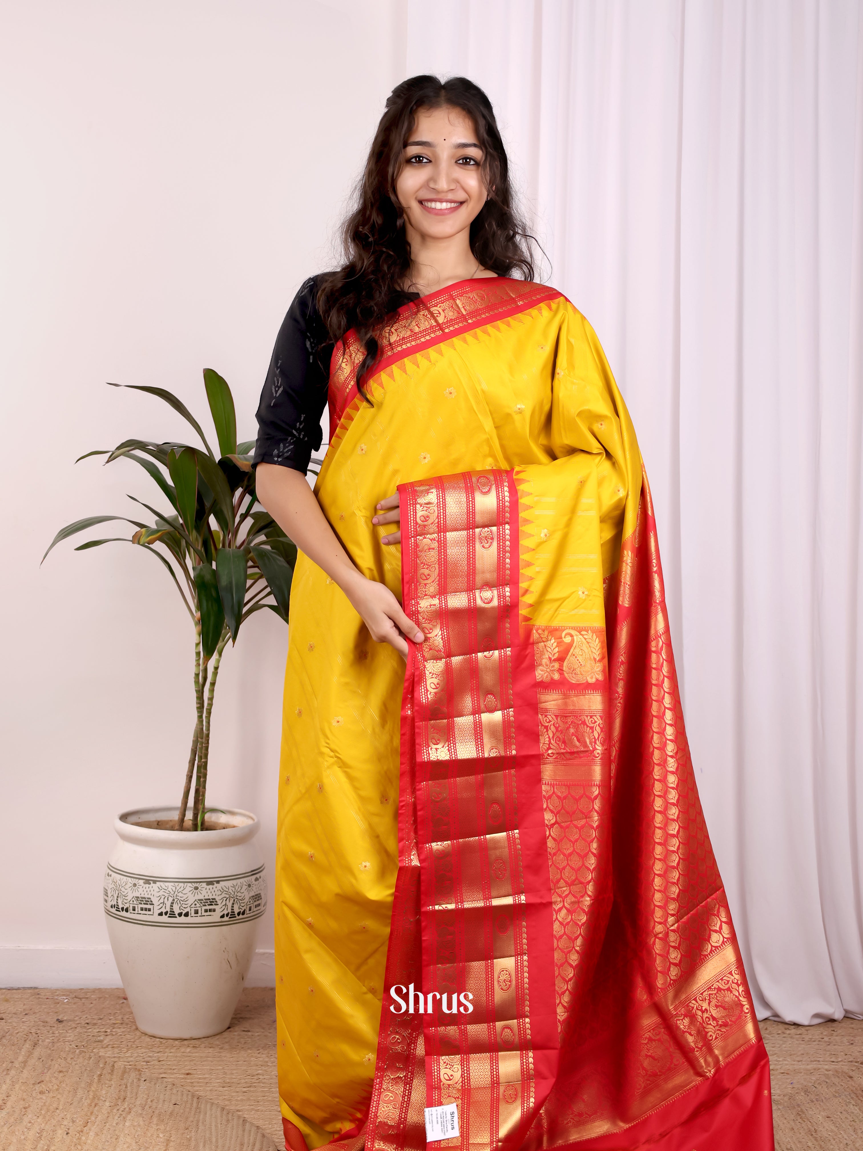Yellow & Red - Gadwal halfpure Saree - Shop on Shrus.com
