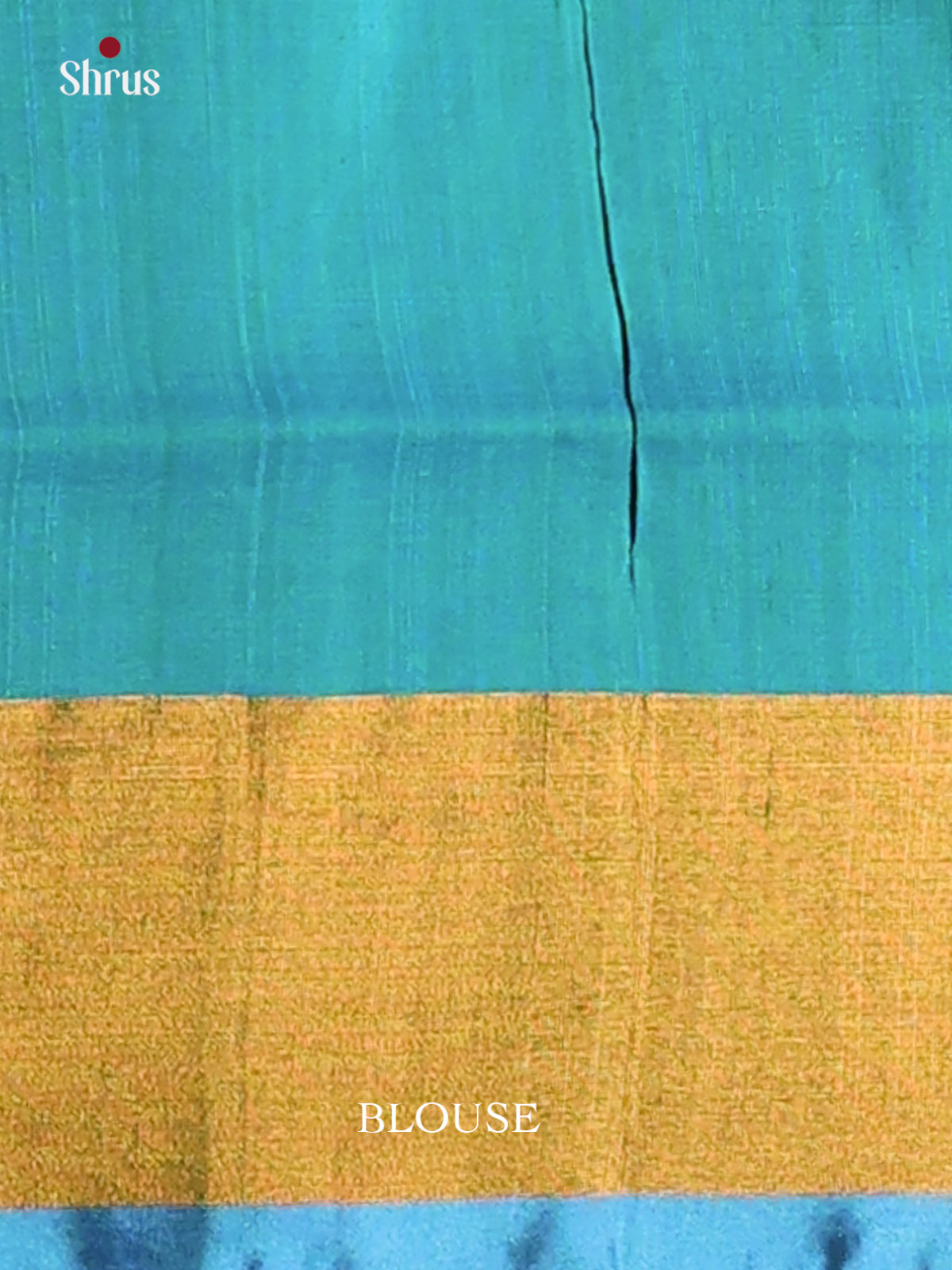 Enchanting Blue Uppada silk Saree zari woven floral motifs , kaddi border - Shop on Shrus.com