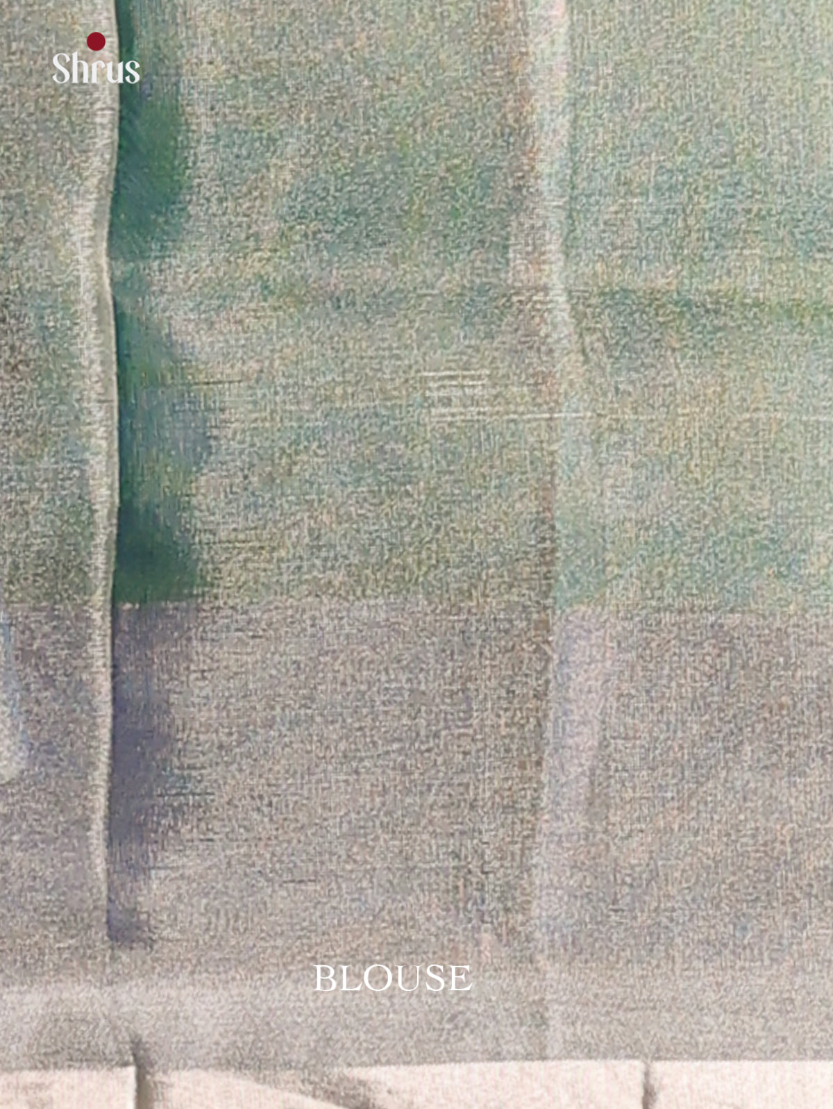 Unique double shaded Green Uppada silk Saree with zari coin buttas , contrast border - Shop on Shrus.com