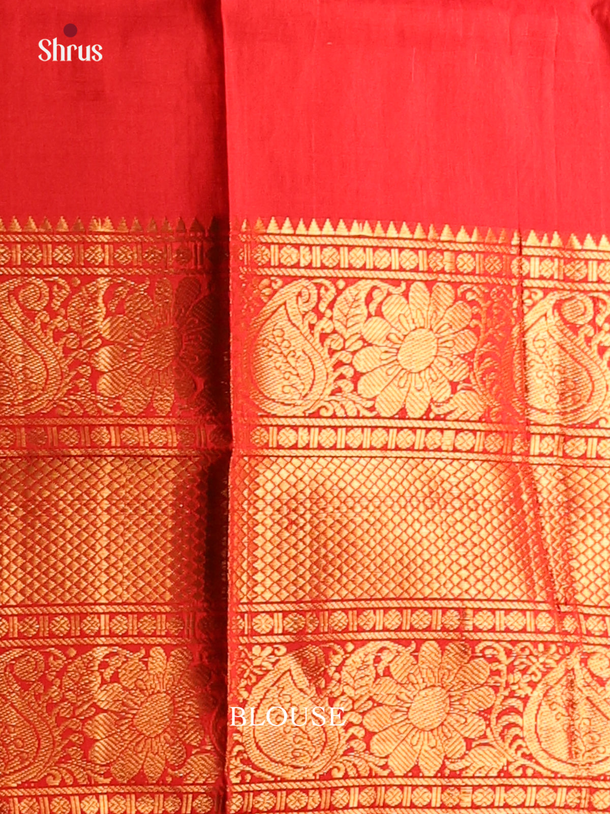 Radiant Orange Uppada silk Saree with zari woven floral buttas , Kanchi Border - Shop on Shrus.com
