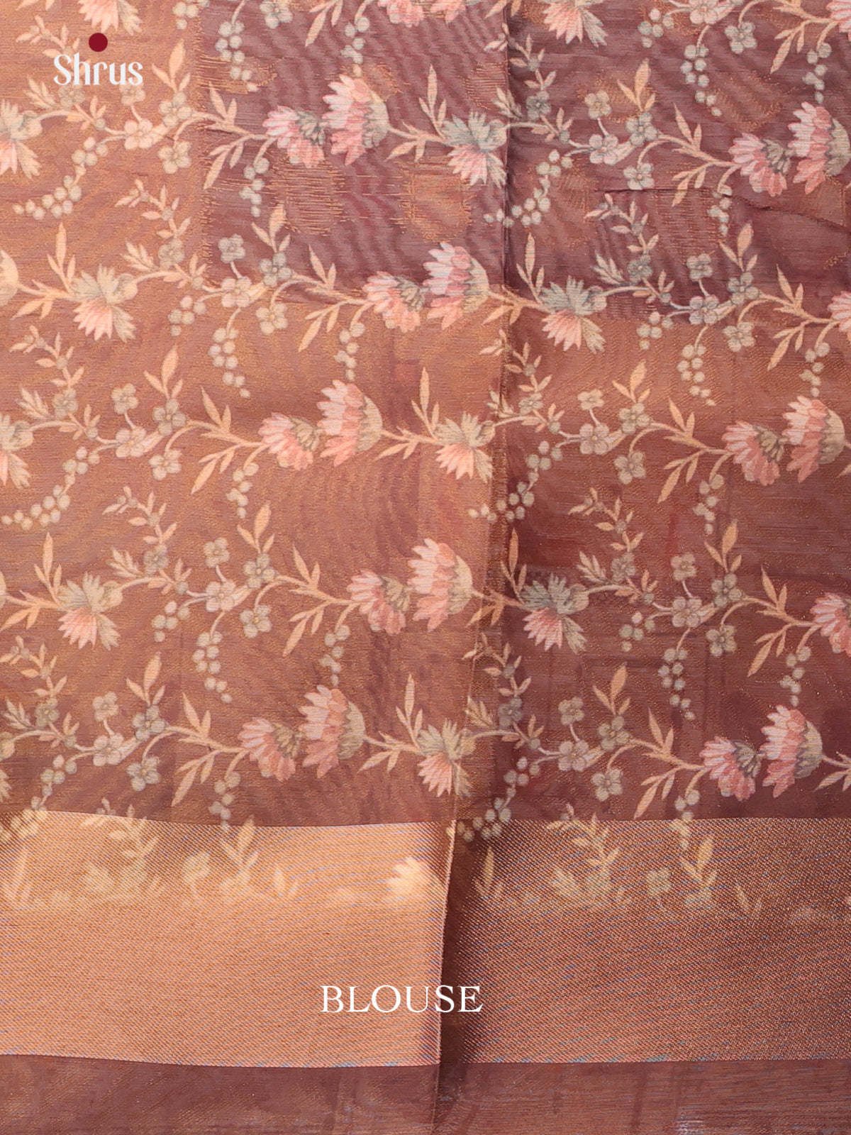 Blue & Brown - Semi Tissue Saree - Shop on Shrus.com