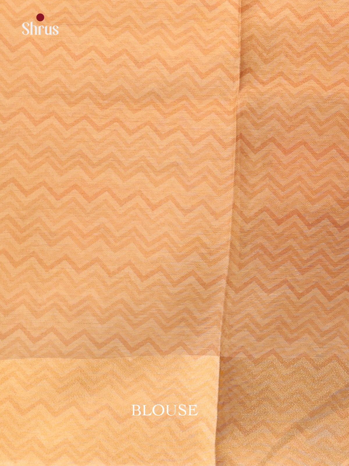 Golden Beige - Semi Tissue Saree - Shop on Shrus.com