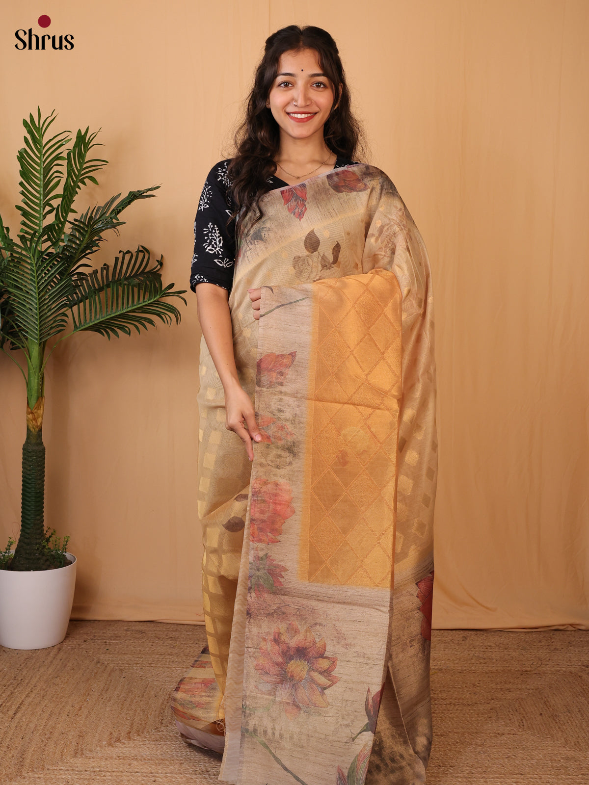 Golden Beige - Semi Tissue Saree - Shop on Shrus.com