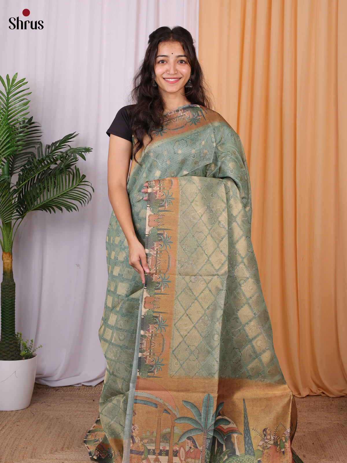 Green & Brown- Semi Tissue Saree - Shop on Shrus.com