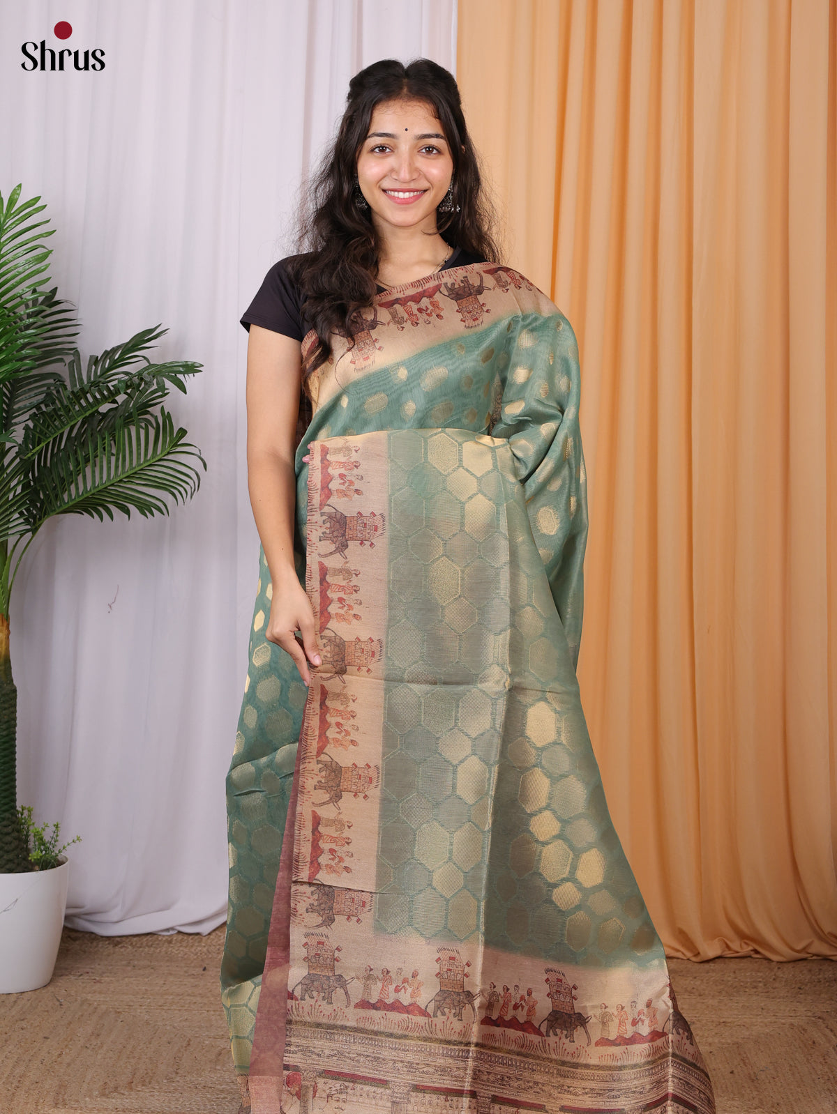 Green & Brown - Semi Tissue Saree - Shop on Shrus.com