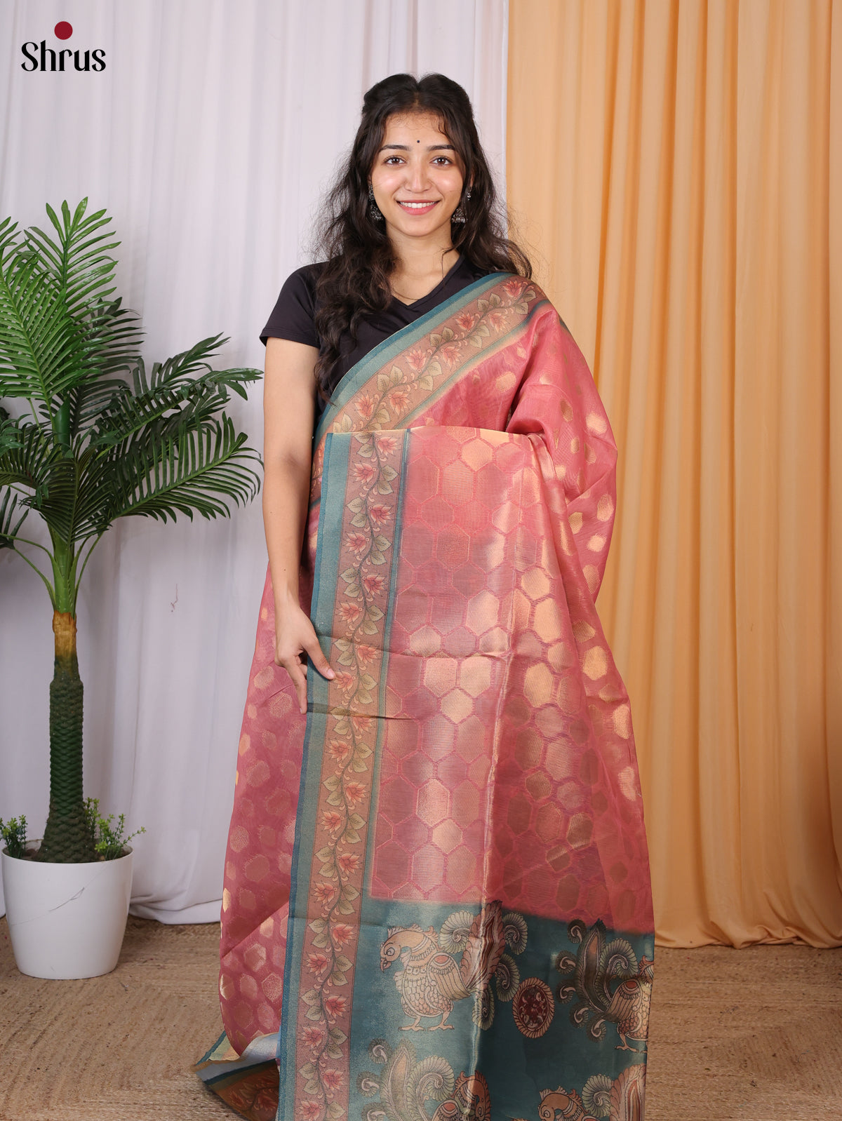 Pink & Green - Semi Tissue Saree - Shop on Shrus.com