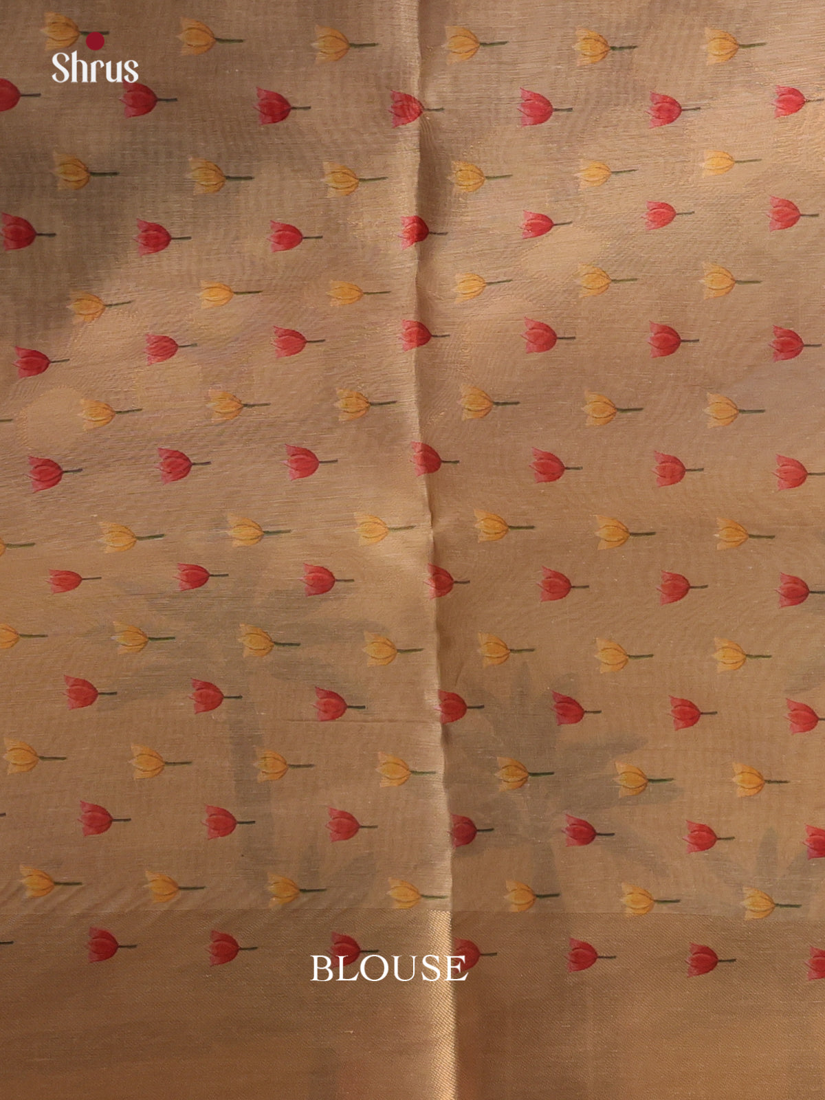 Mauve & Beige- Semi Tissue Saree - Shop on Shrus.com