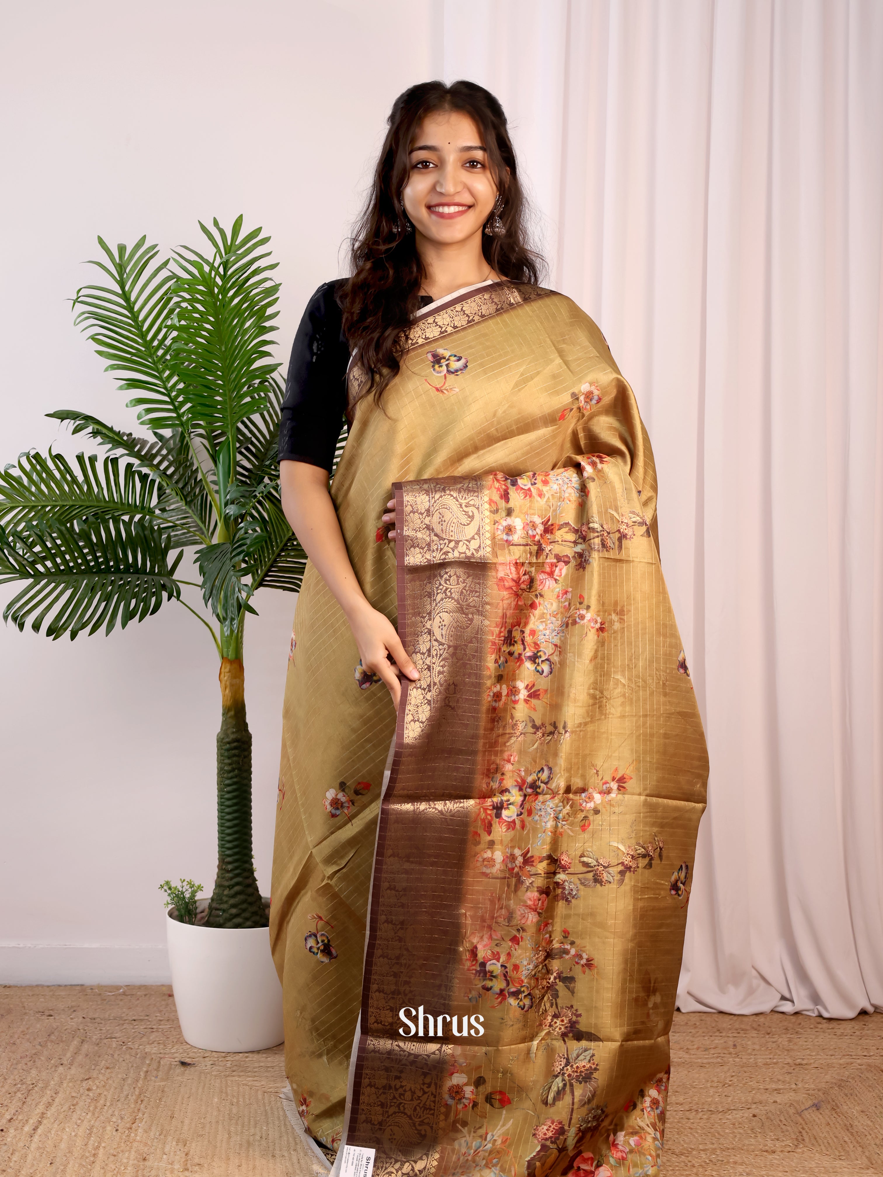 Beige & Brown - Semi Dola silk Saree - Shop on Shrus.com