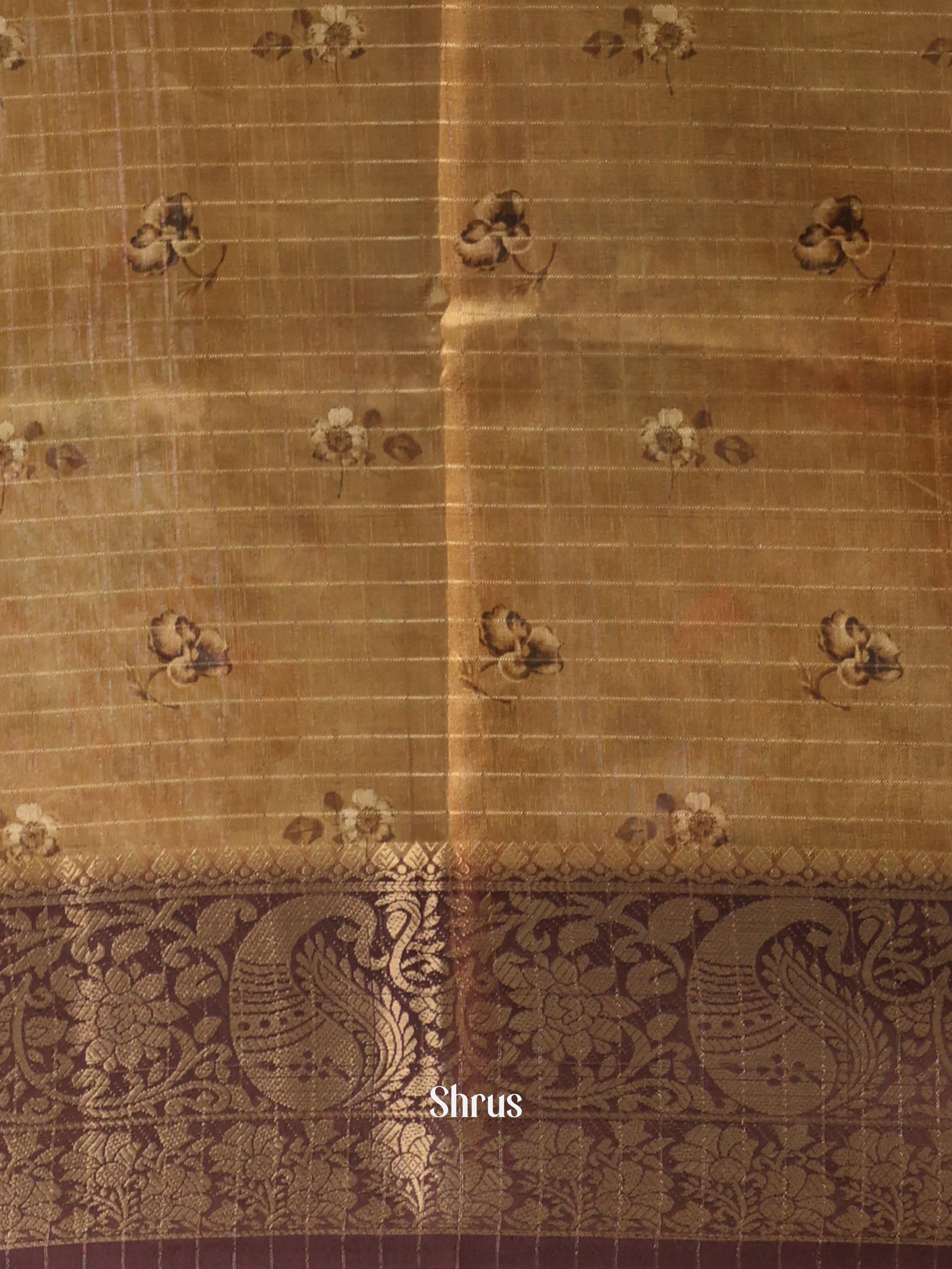 Beige & Brown - Semi Dola silk Saree - Shop on Shrus.com