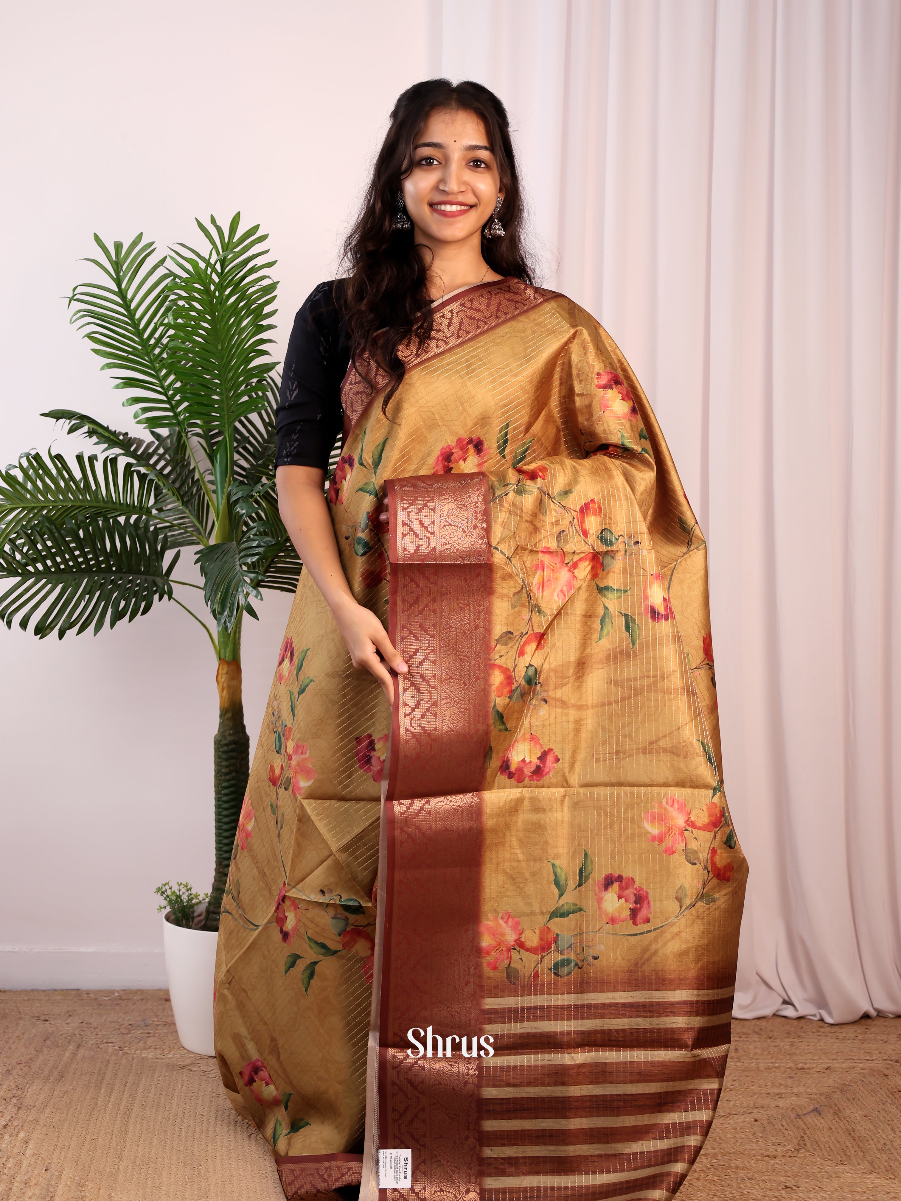 Lite & Dark Brown - Semi Dola silk Saree - Shop on Shrus.com