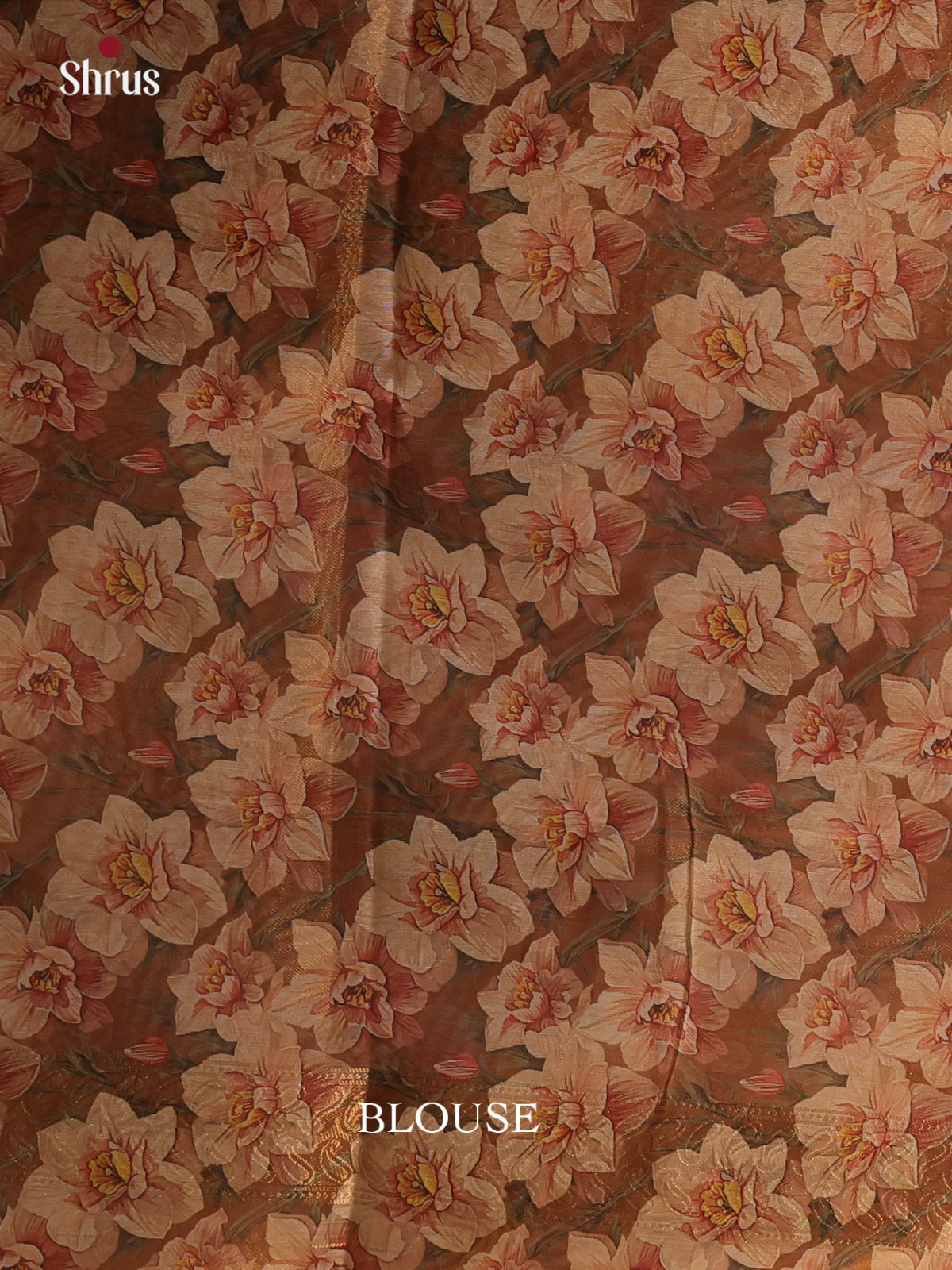 Gold & Brown - Semi Tissue Saree - Shop on Shrus.com