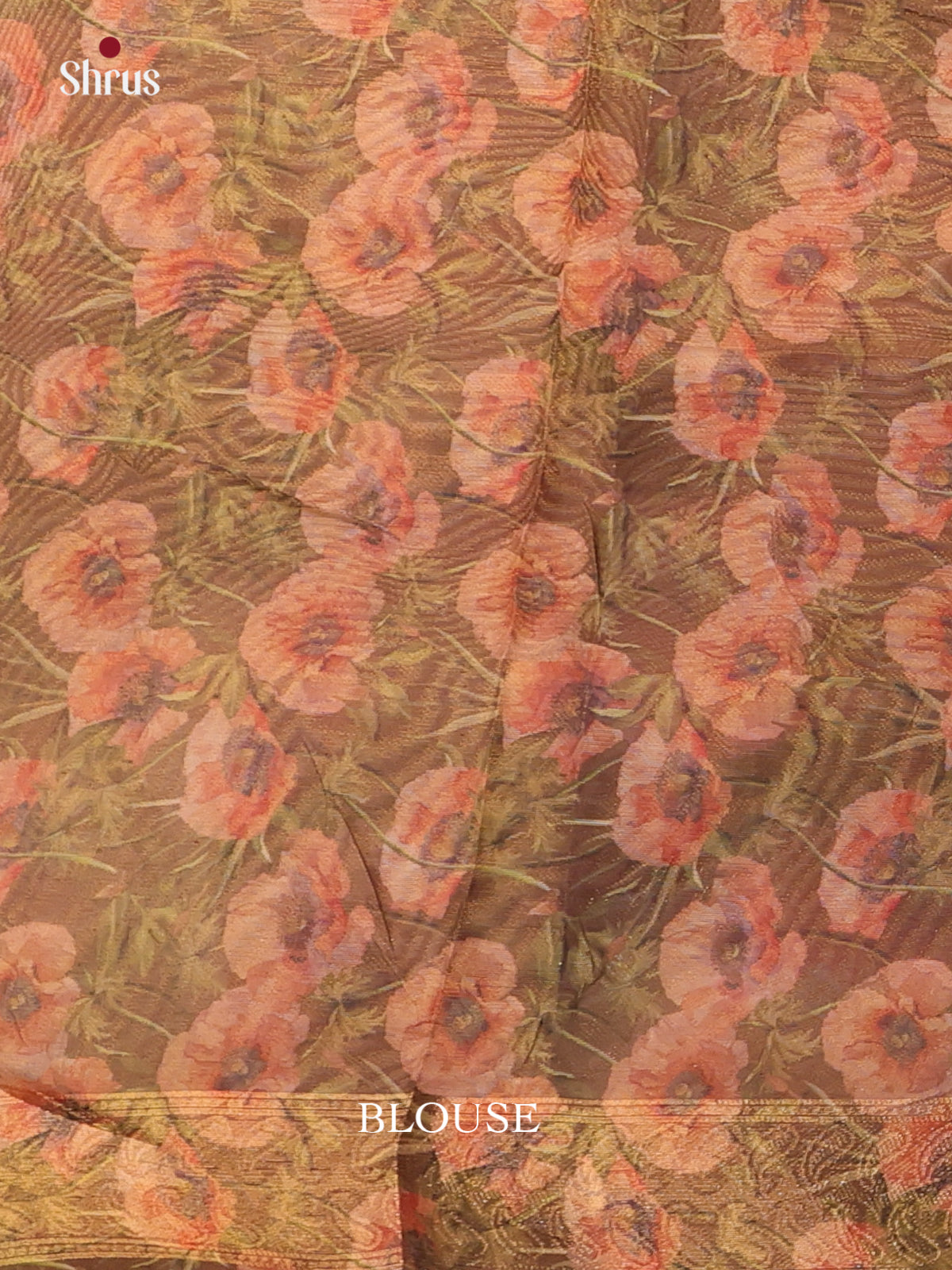 Golden Brown - Semi Tissue Saree - Shop on Shrus.com