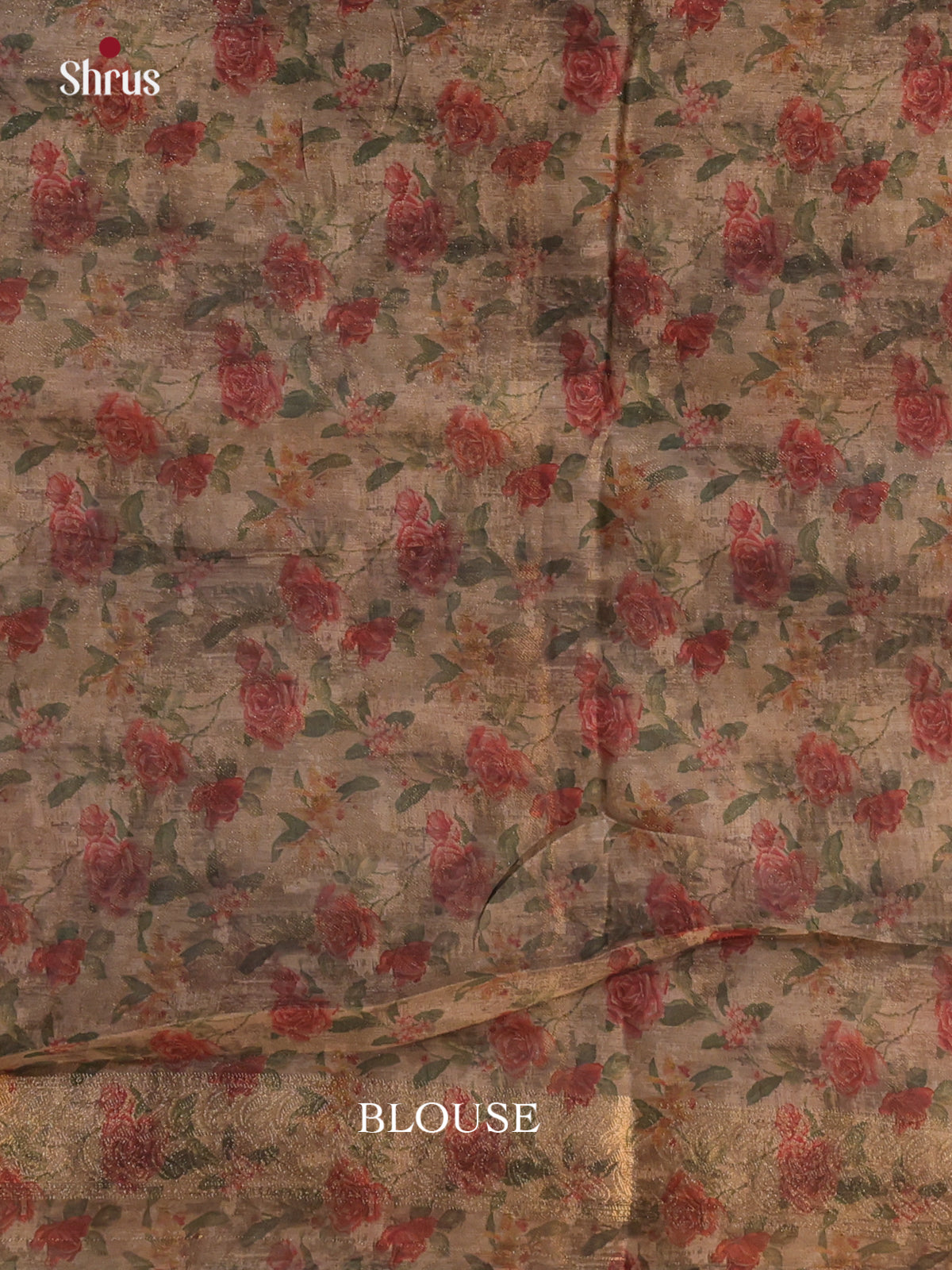 Greyish Gold - Semi Tissue Saree - Shop on Shrus.com