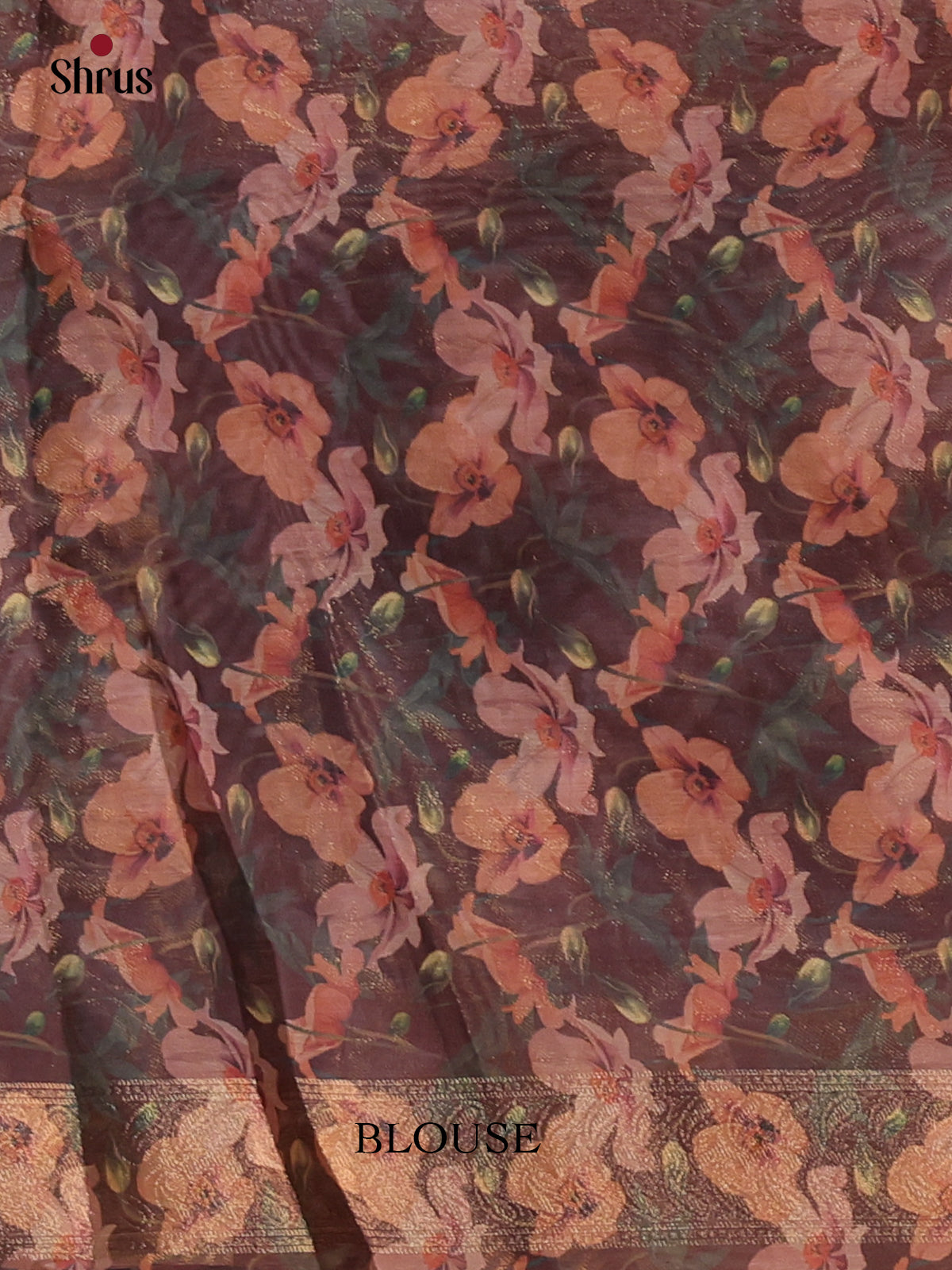 Brown - Semi Tissue Saree - Shop on Shrus.com