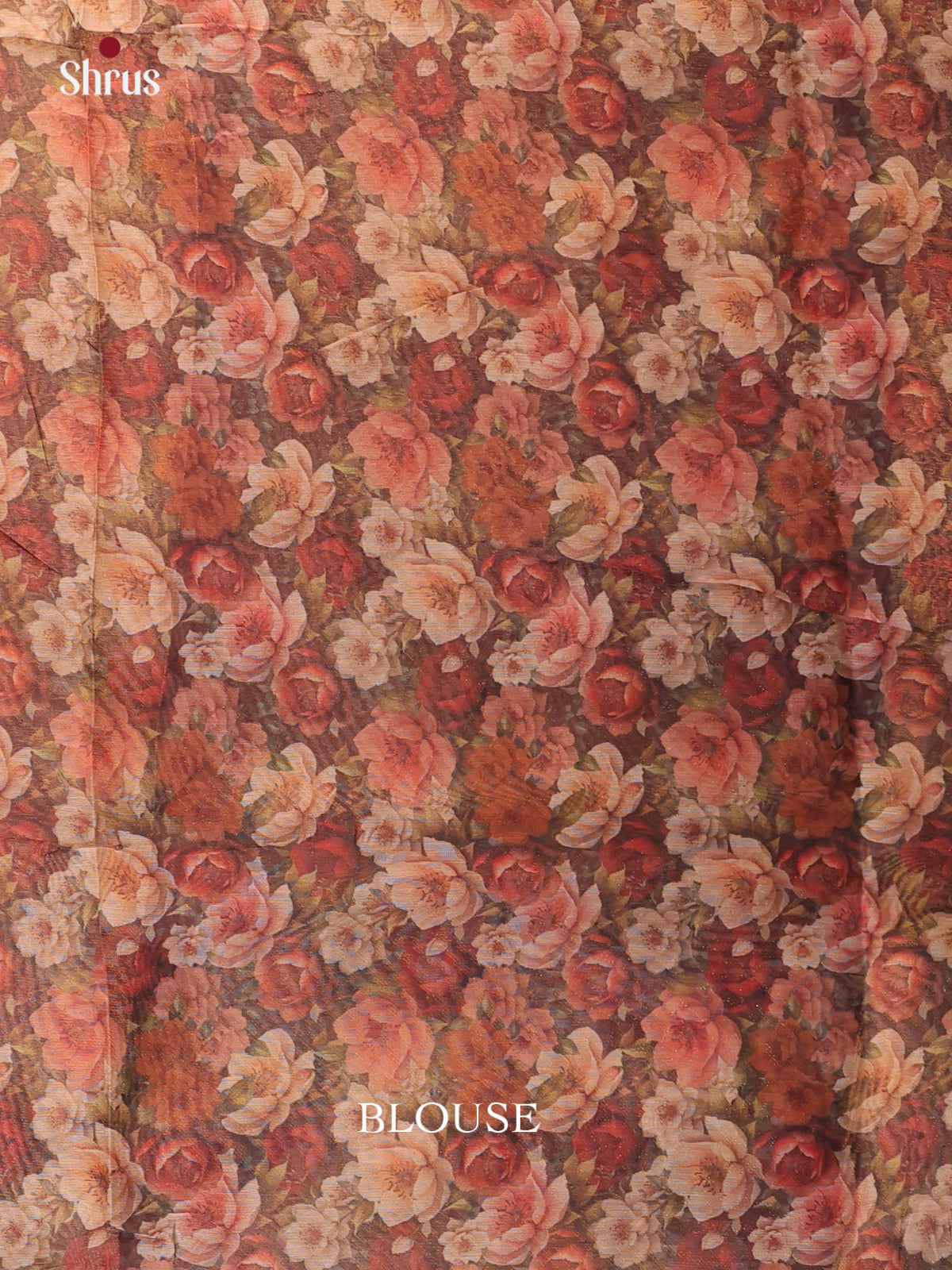 Brown - Semi Tissue Saree - Shop on Shrus.com