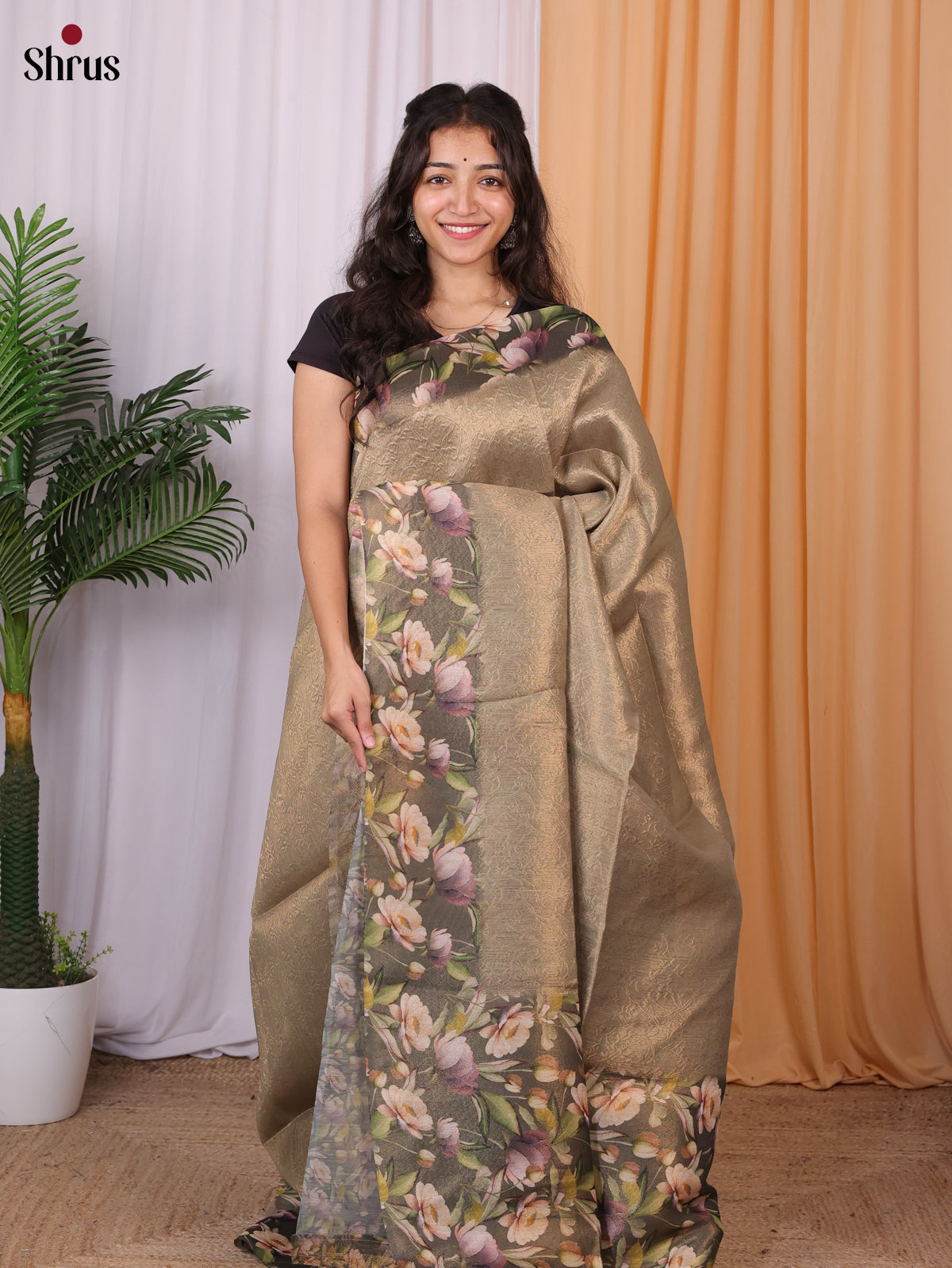 Golden Brown- Semi Tissue Saree - Shop on Shrus.com