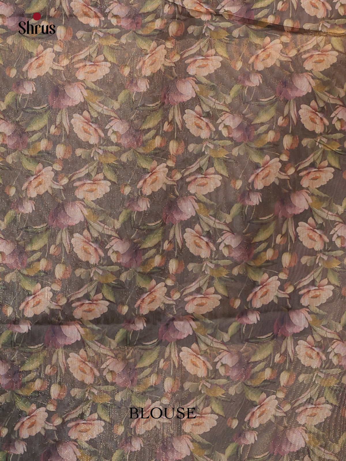 Golden Brown- Semi Tissue Saree - Shop on Shrus.com