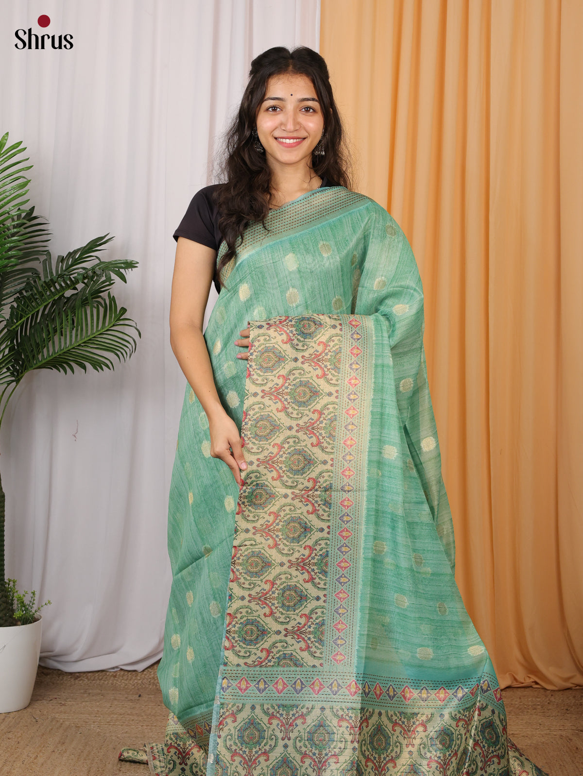 Light Green - Semi Tissue Saree - Shop on Shrus.com