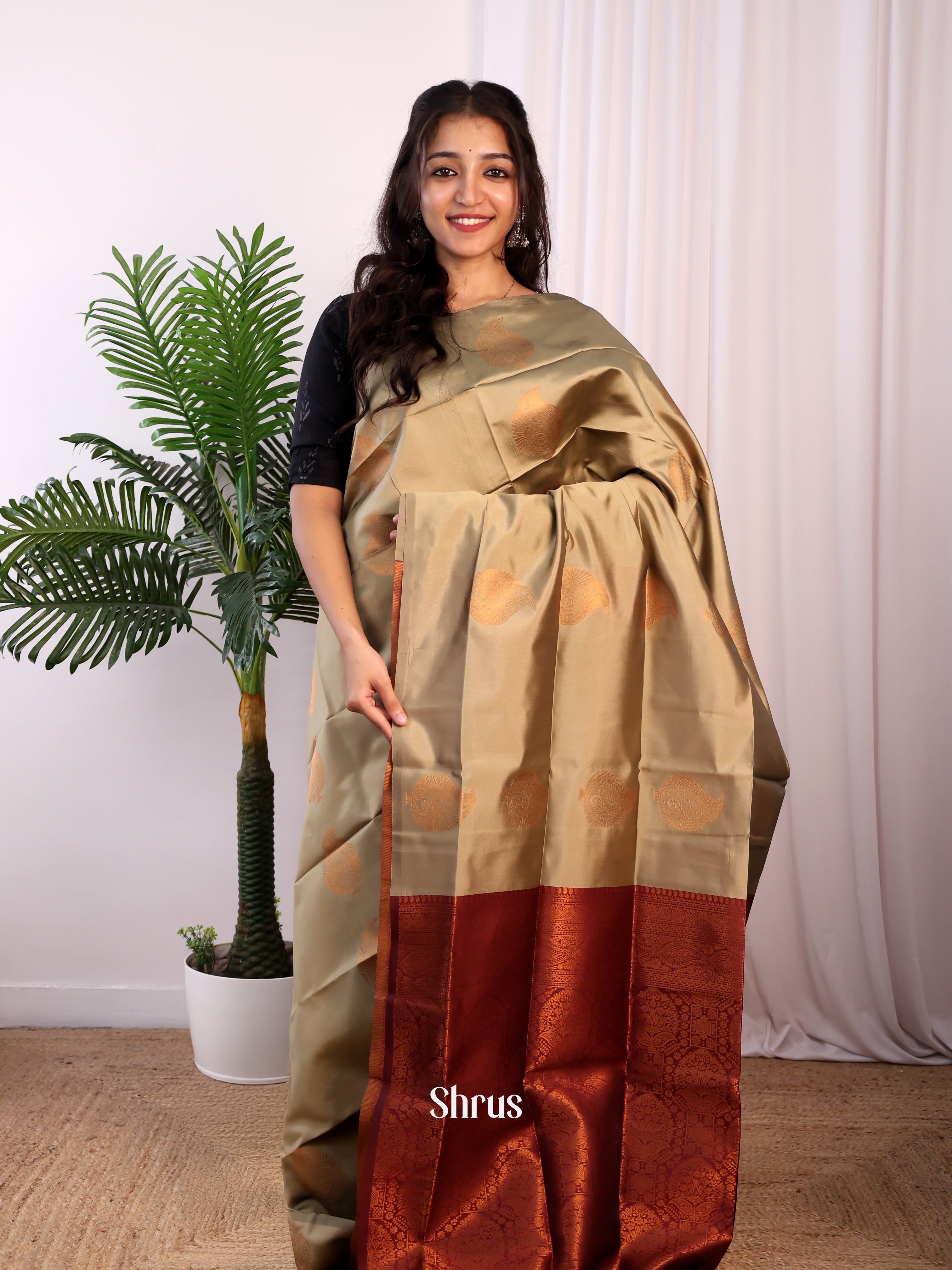 Beige & Maroon - Semi Softsilk Saree - Shop on Shrus.com