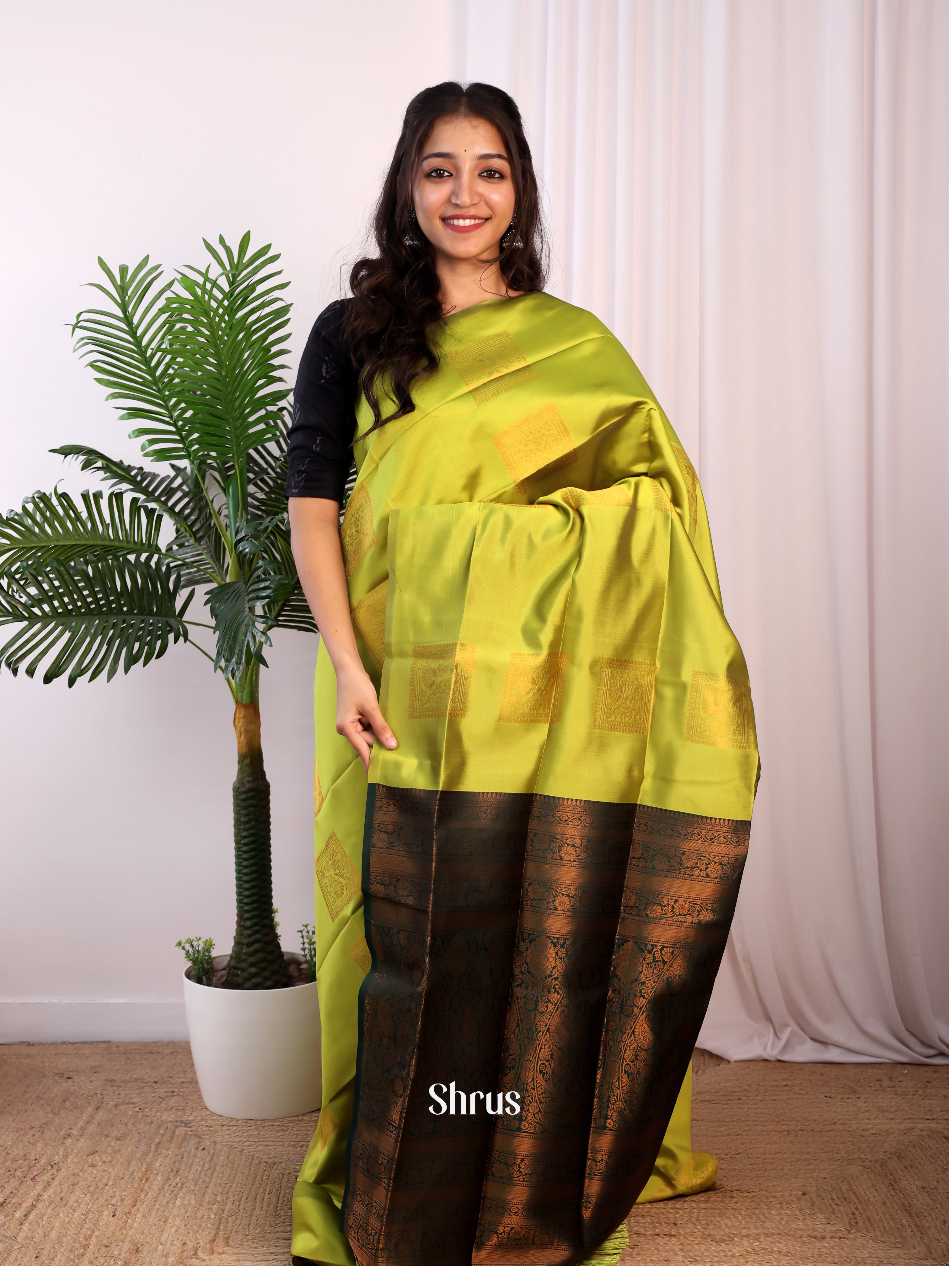 Lite Green & Green- Semi Softsilk Saree - Shop on Shrus.com