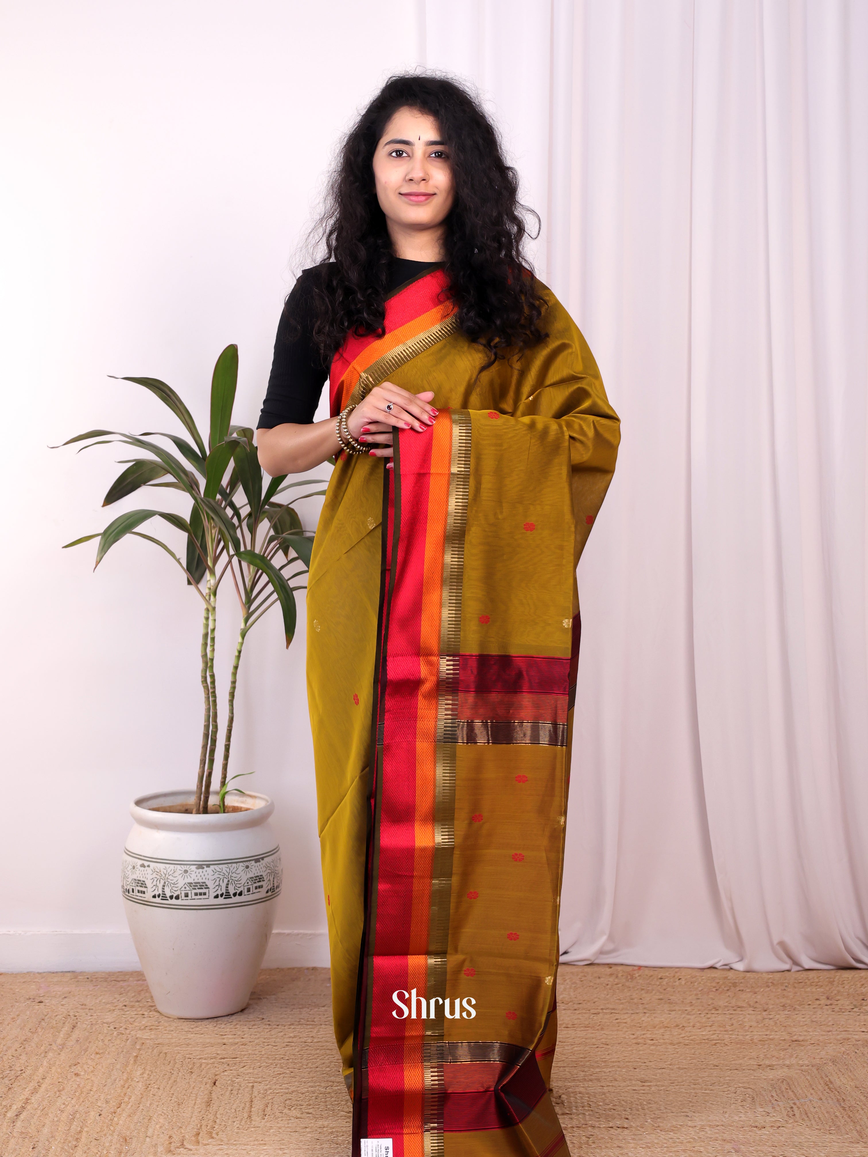 Green & Maroon - Maheshwari silkcotton Saree - Shop on Shrus.com