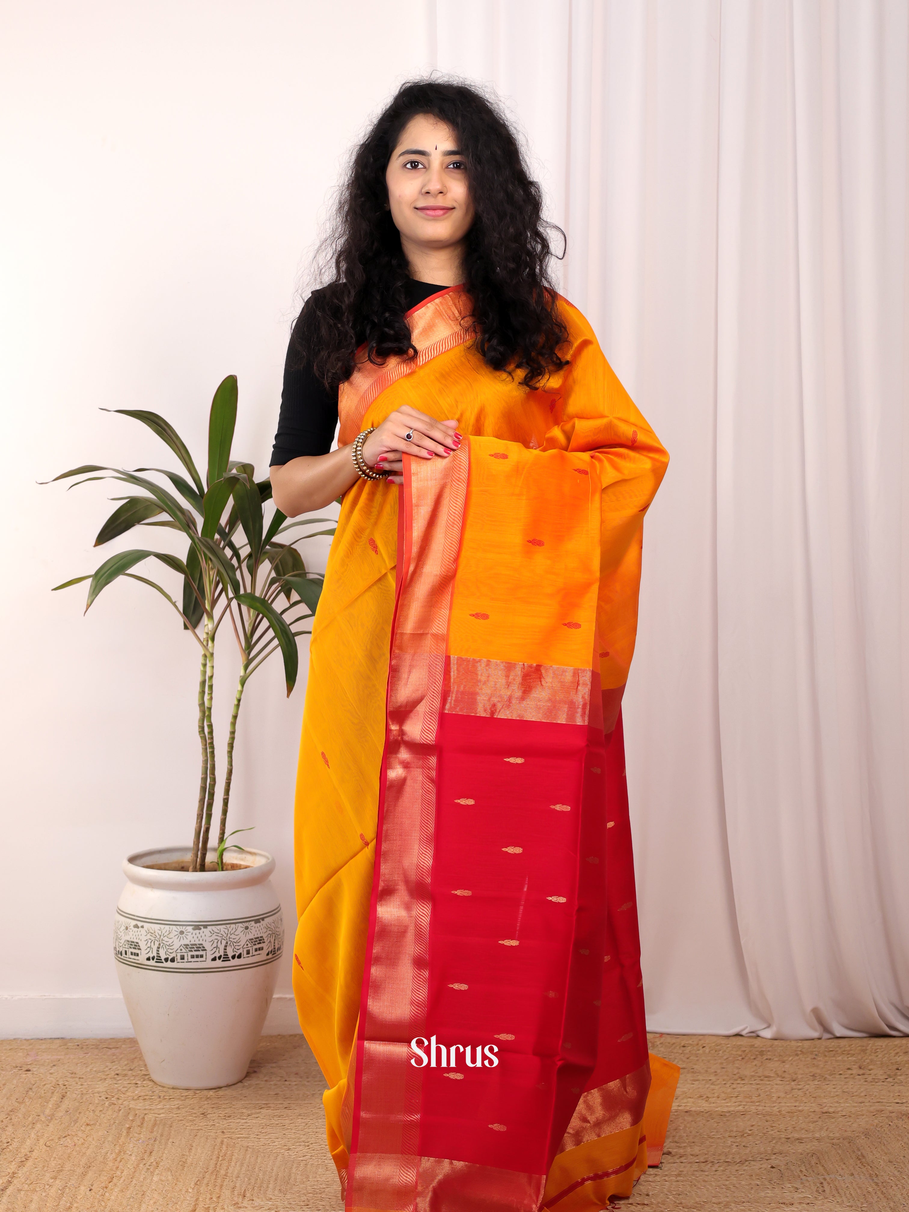 Mustard & Red - Maheshwari silkcotton Saree - Shop on Shrus.com