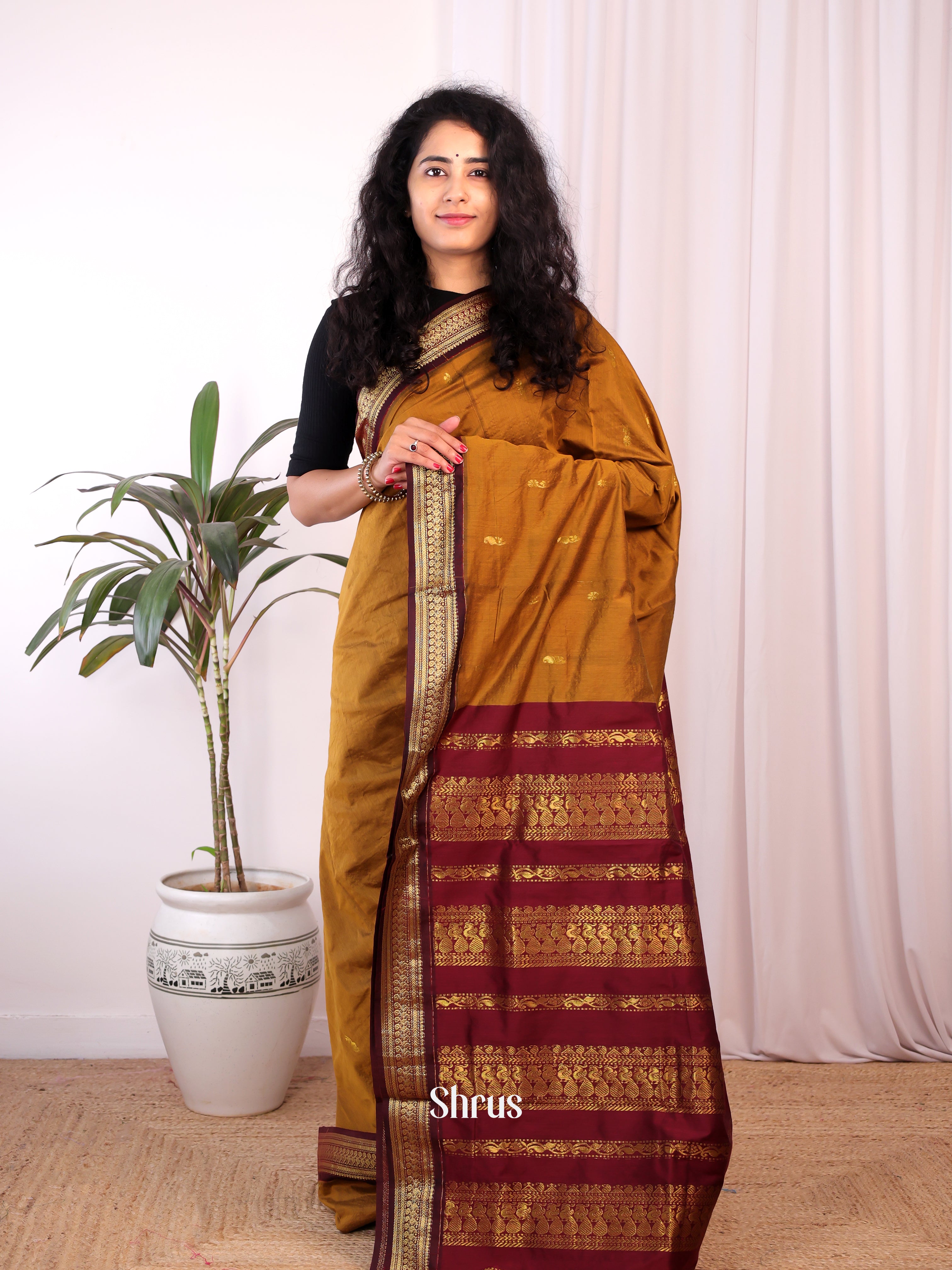 dark Mustard & Maroon - Kalyani Cotton Saree - Shop on Shrus.com